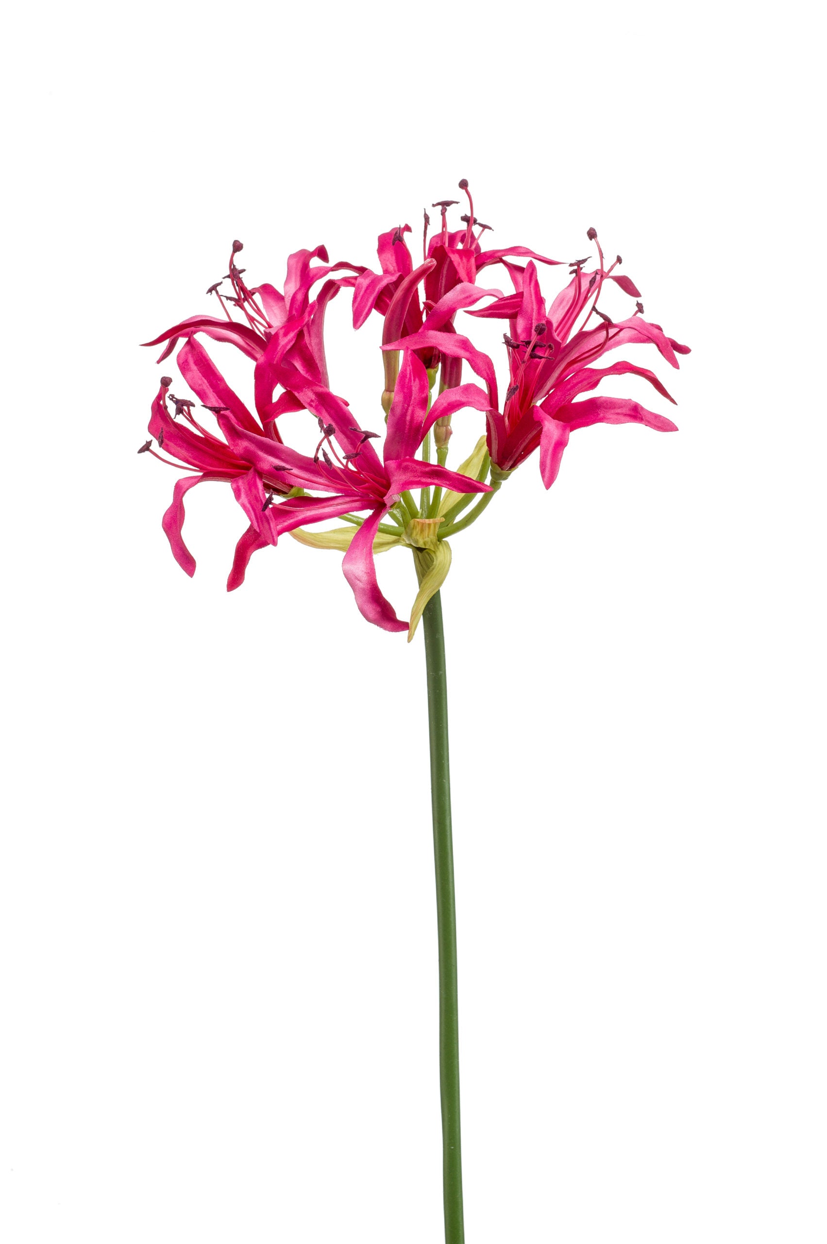 Nerine Fiore Finto Rosa 75 Cm