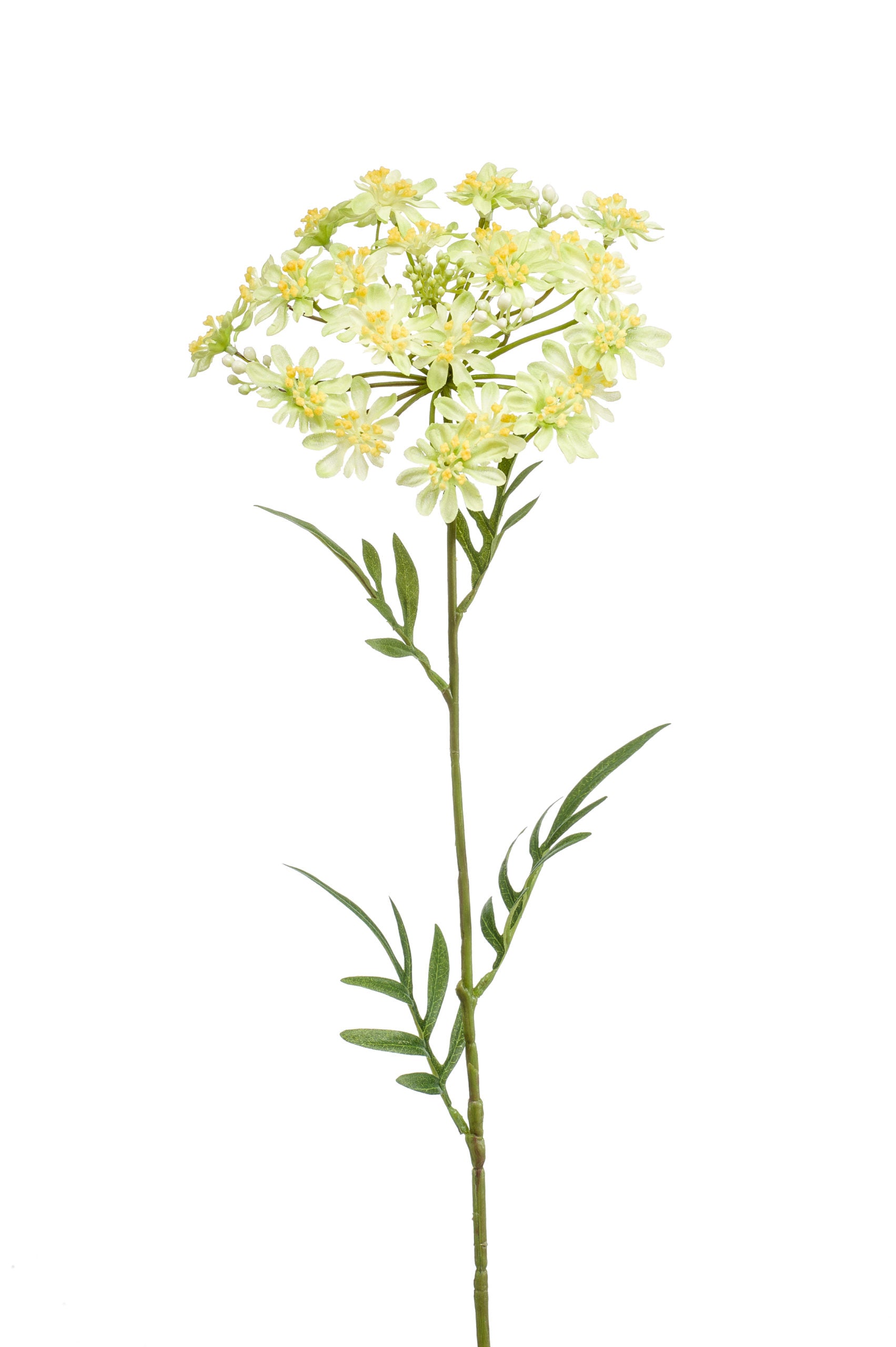 Ramo Aneto Verde 72 Cm