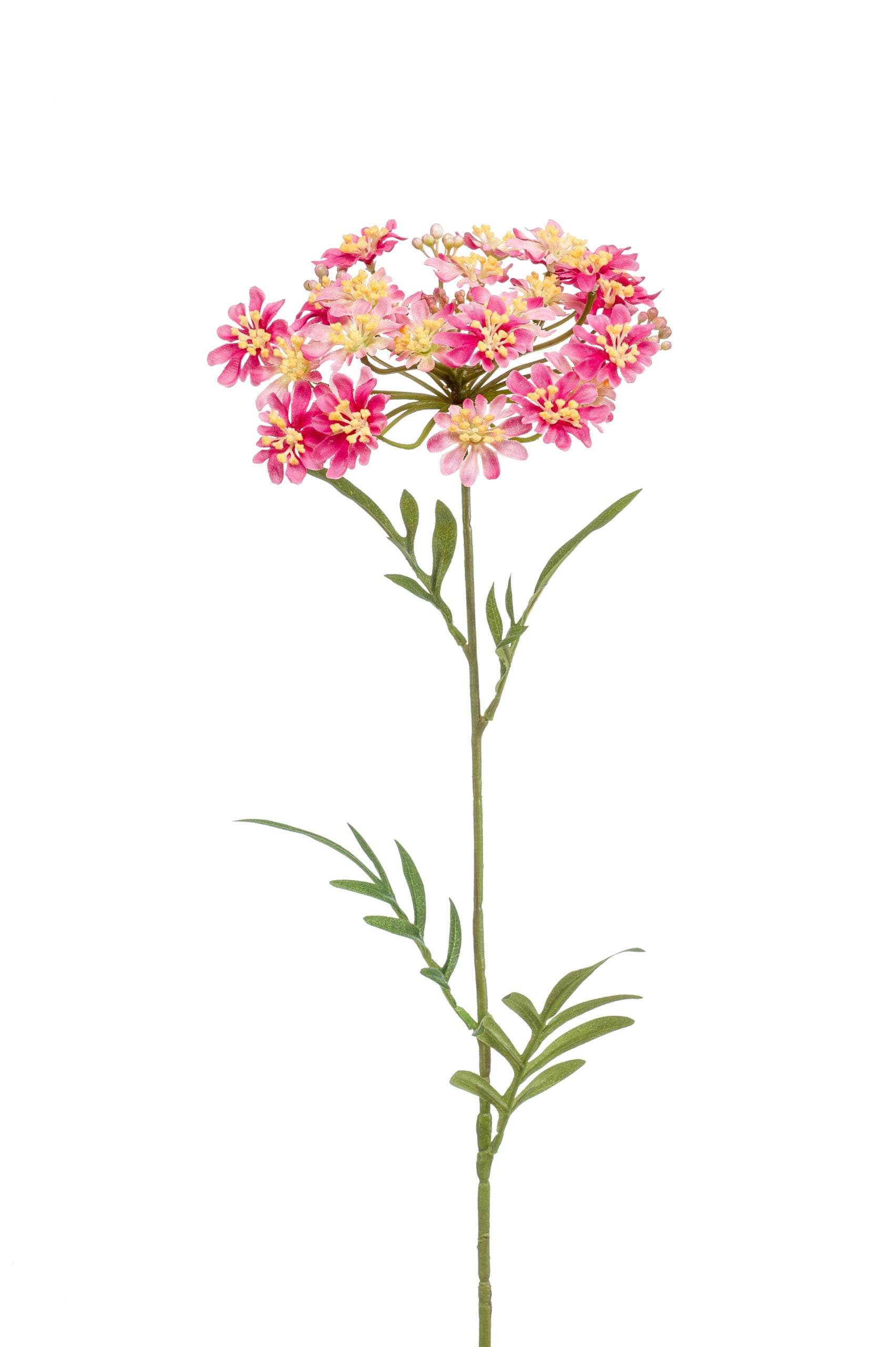 Ramo Aneto Spray Rosa 72 Cm