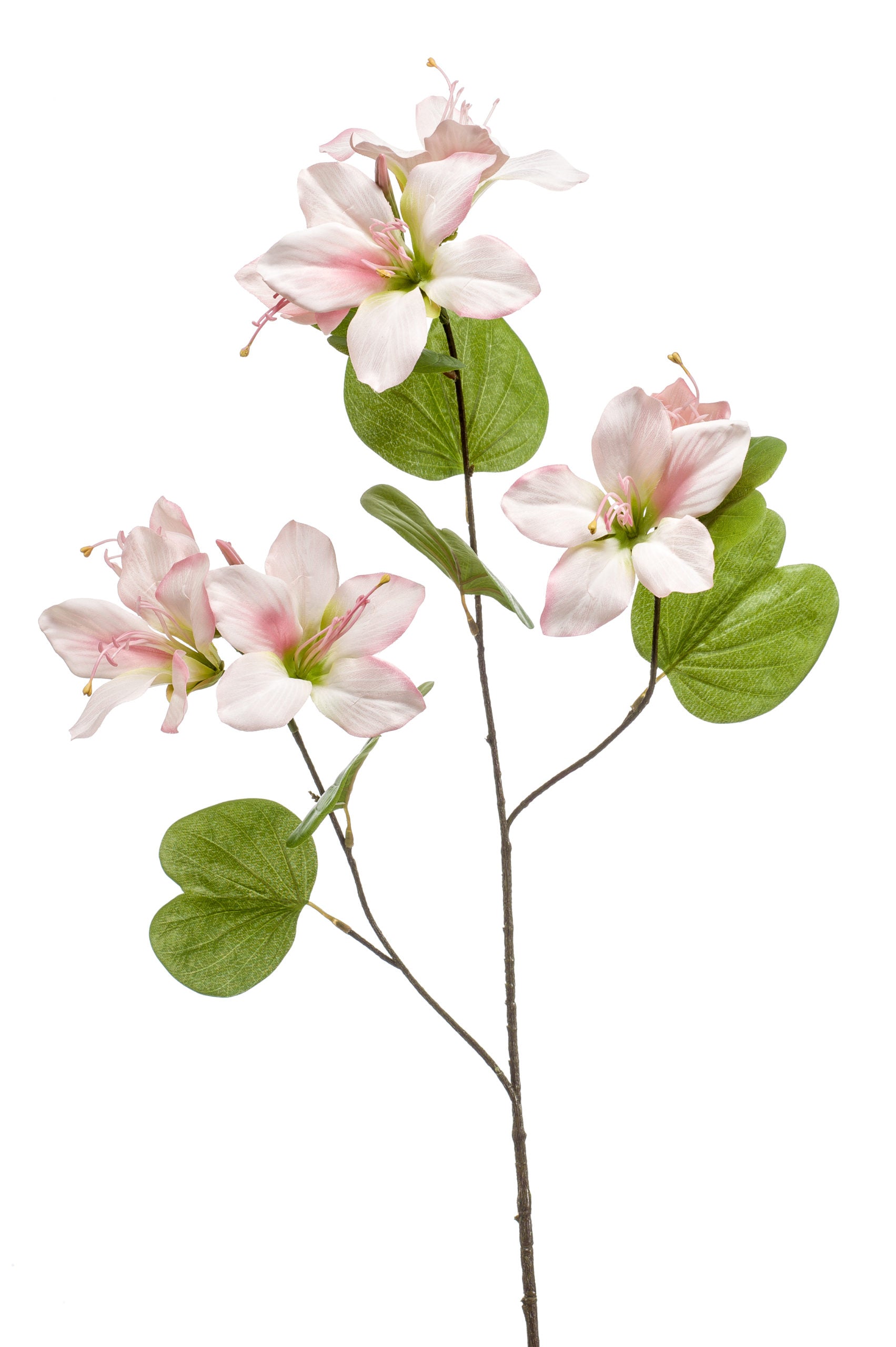 Bauhinia Fiore Finto Rosa 87 Cm