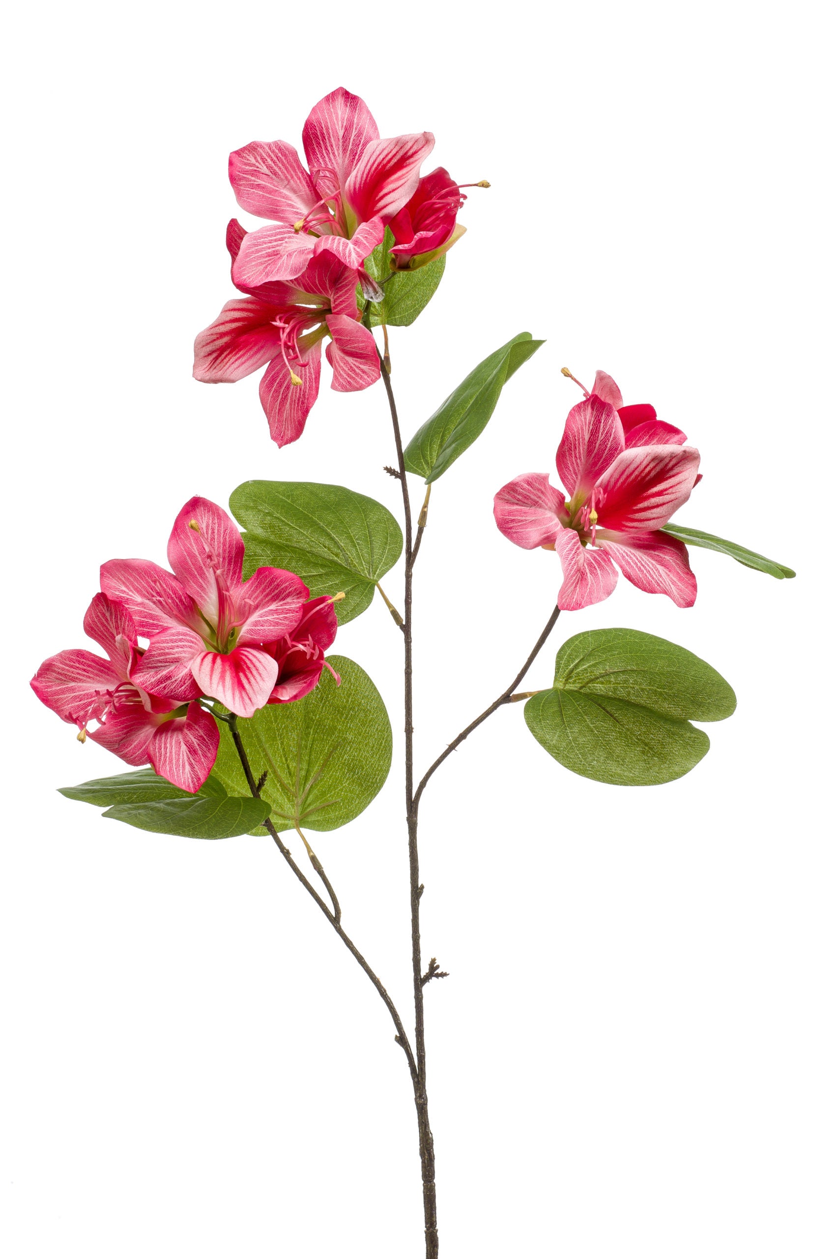 Bauhinia Fiore Finto Rosa 87 Cm