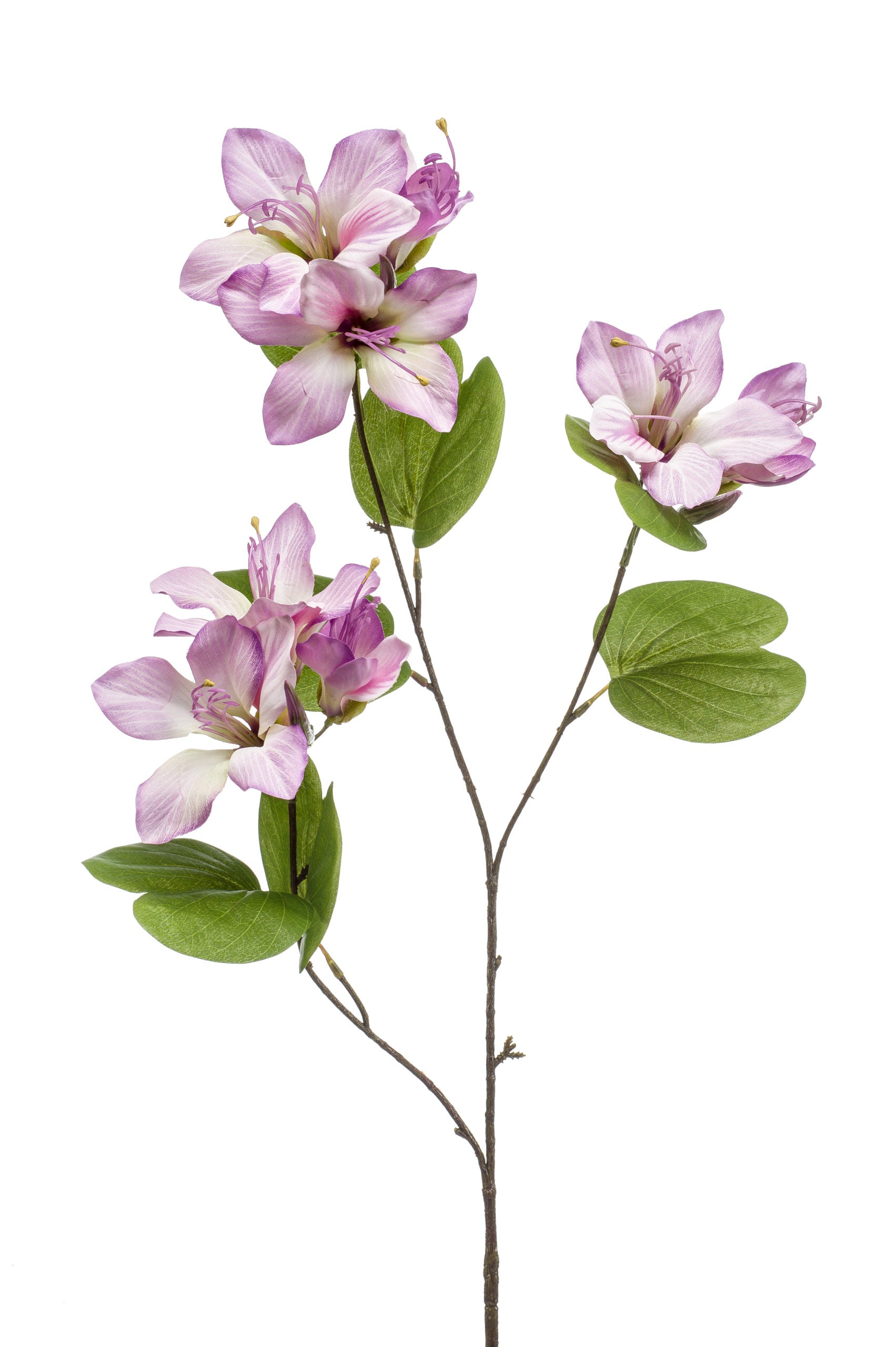 Bauhinia Fiore Finto Viola 87 Cm