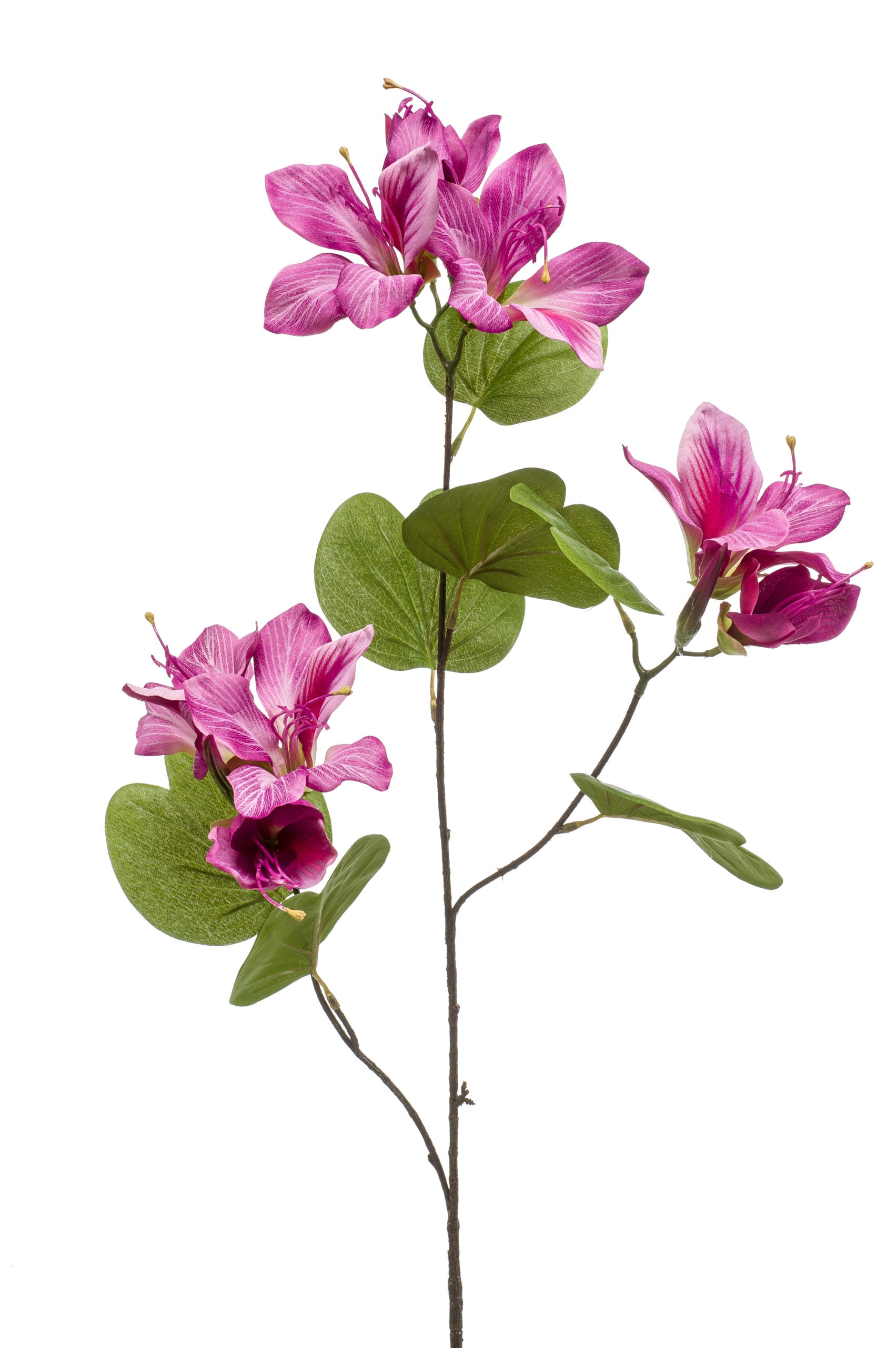 Bauhinia Fiore Finto Viola 87 Cm