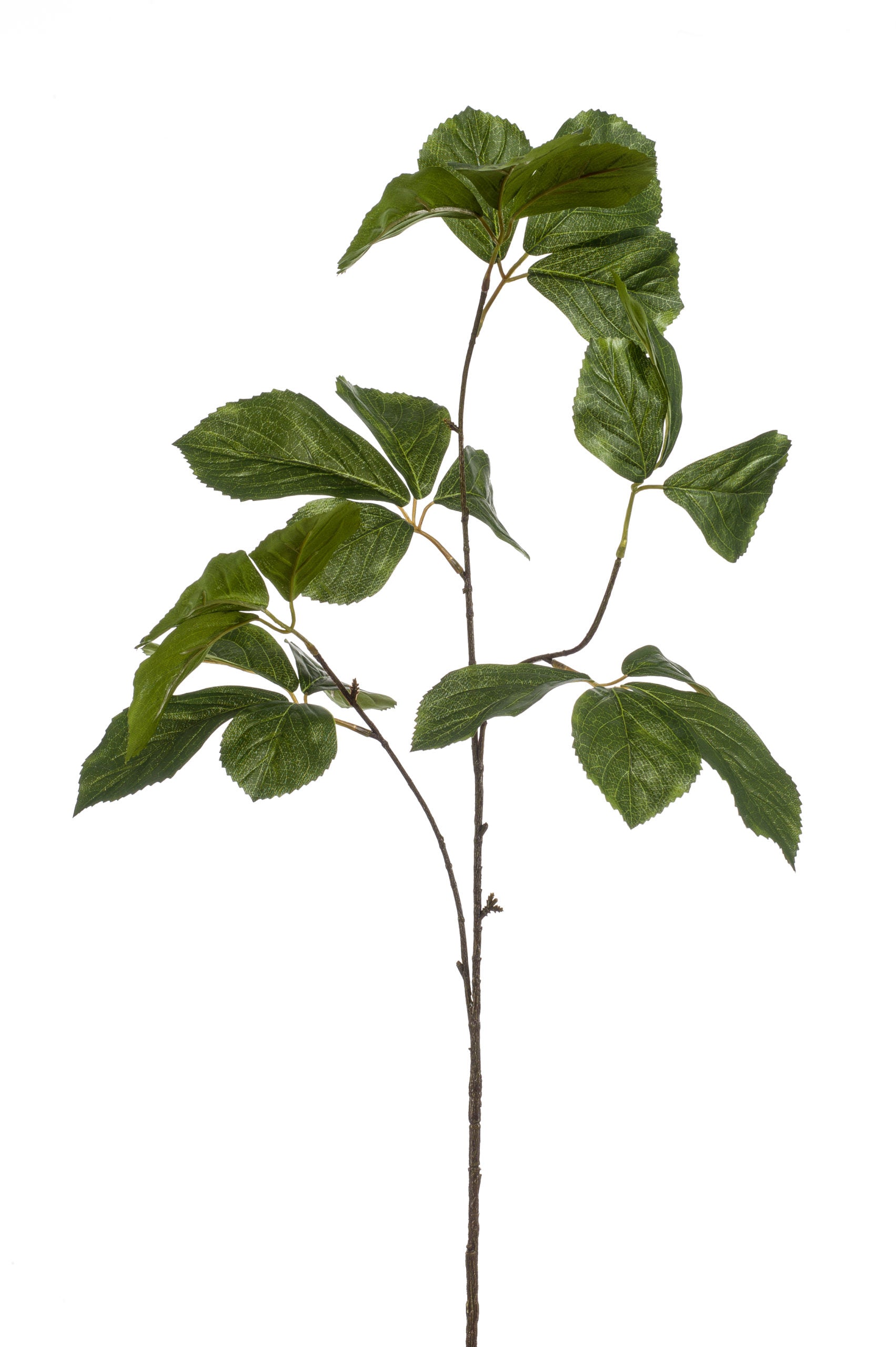 Ramo Foglie Castagno Verde 87 Cm