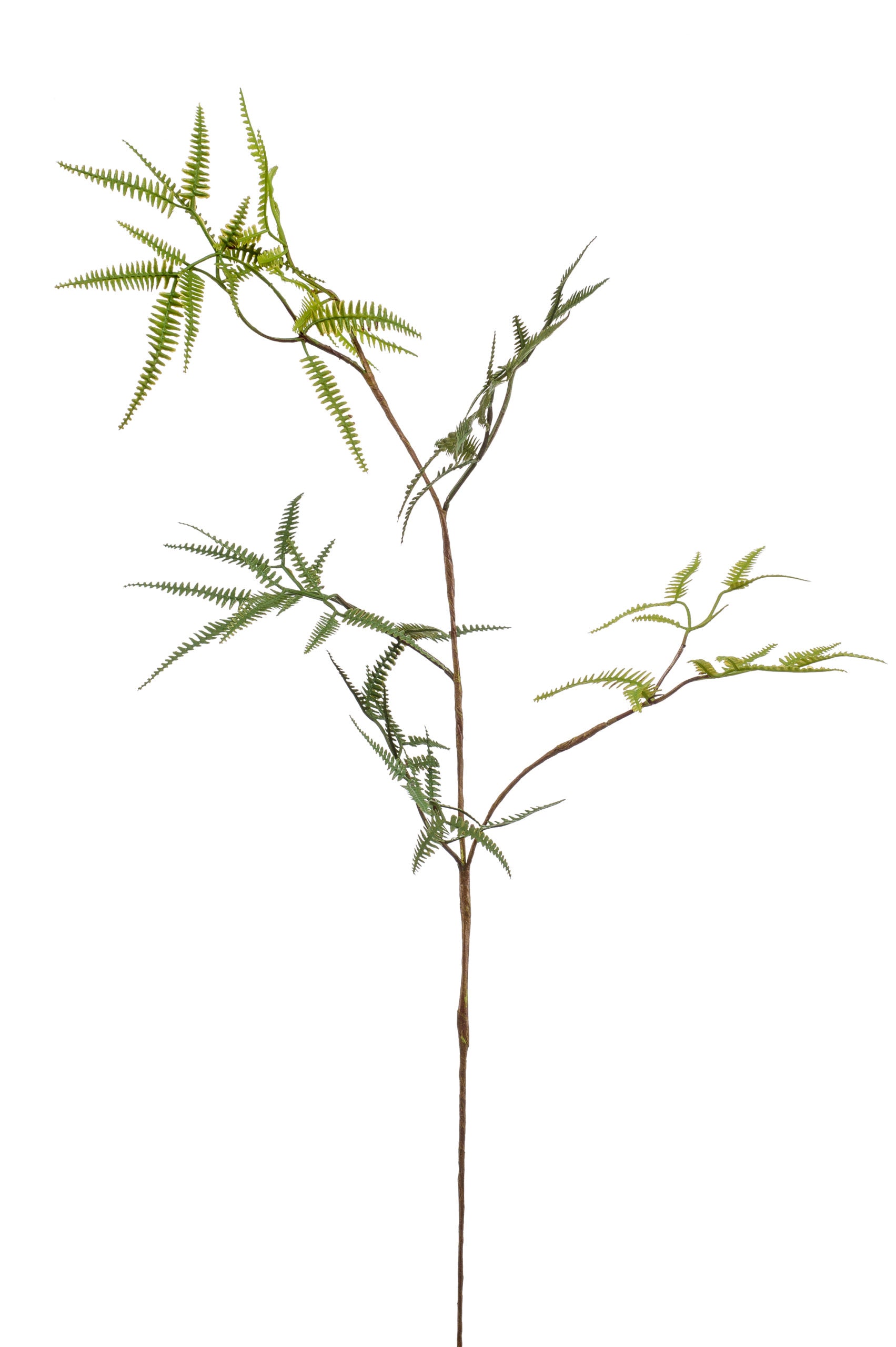 Ramo Foglie Felce Verdi 75 Cm