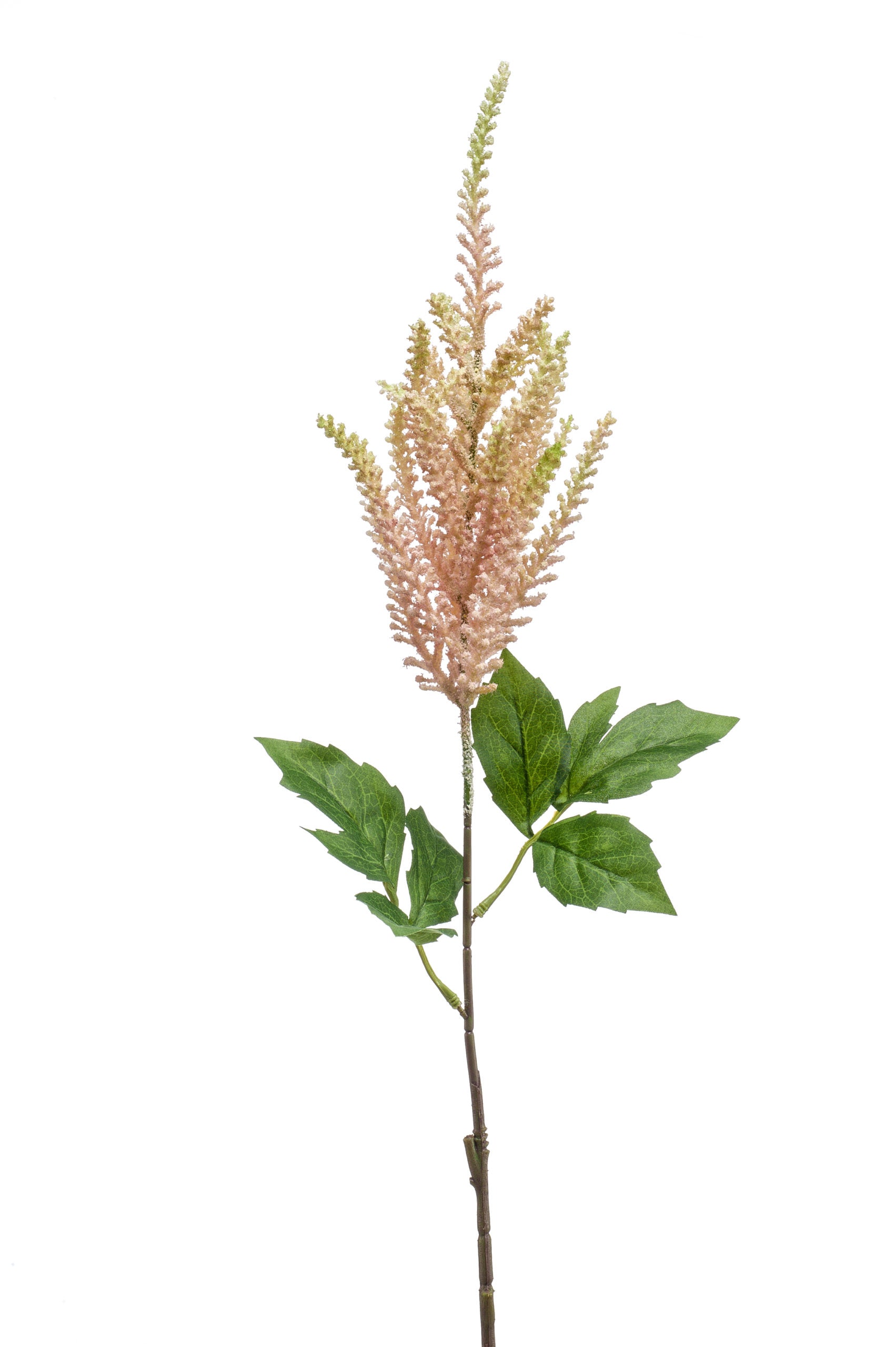 Astilbe Fiore Finto Pesca 65 Cm