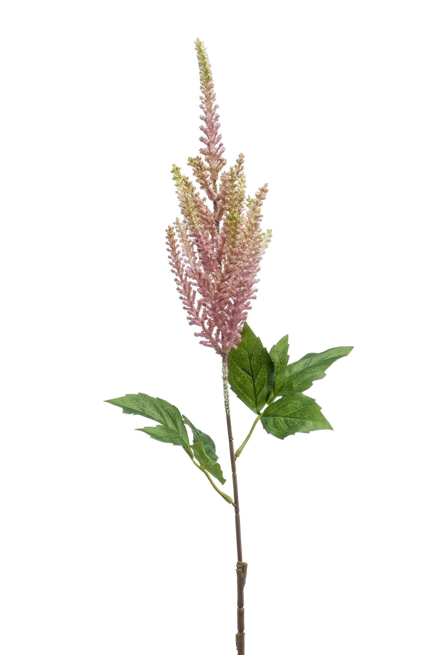 Astilbe Fiore Finto Viola 65 Cm