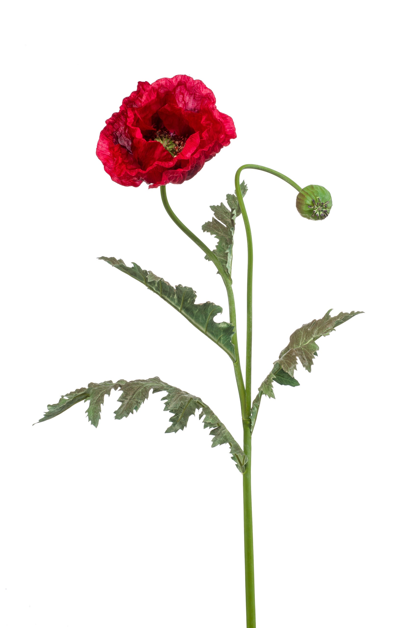 Papavero Fiore Finto Rosso 100 Cm