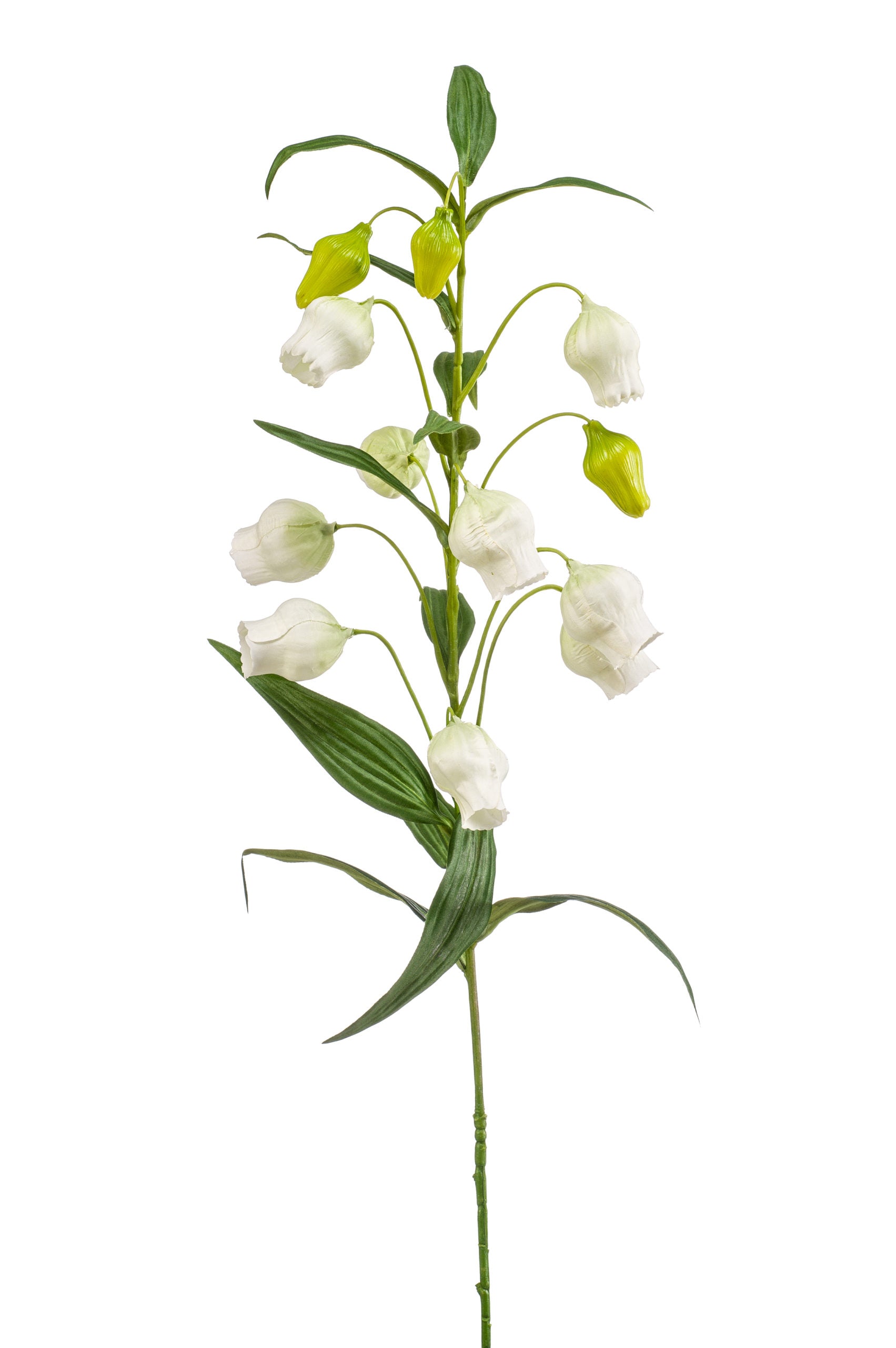 Sandersonia Fiore Finto Crema 97 Cm