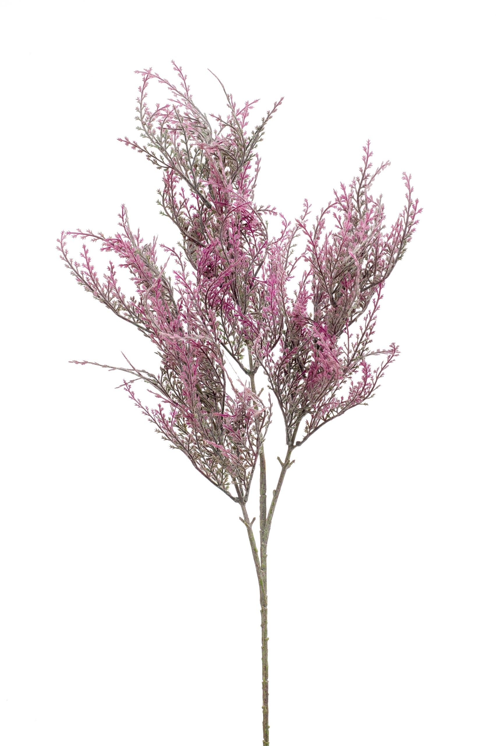 Astilbe Fiore Finto Viola 95 Cm