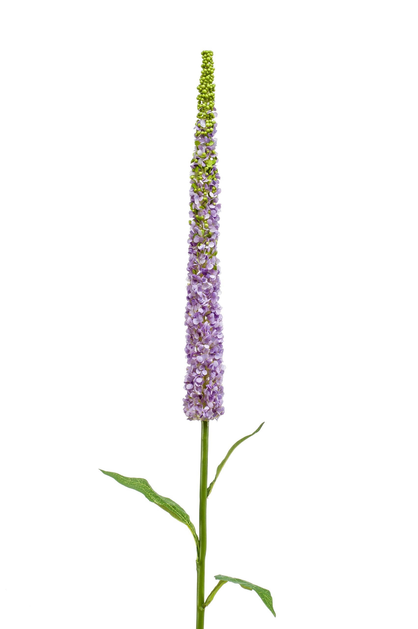 Knophofia Fiore Finto Viola 107 Cm