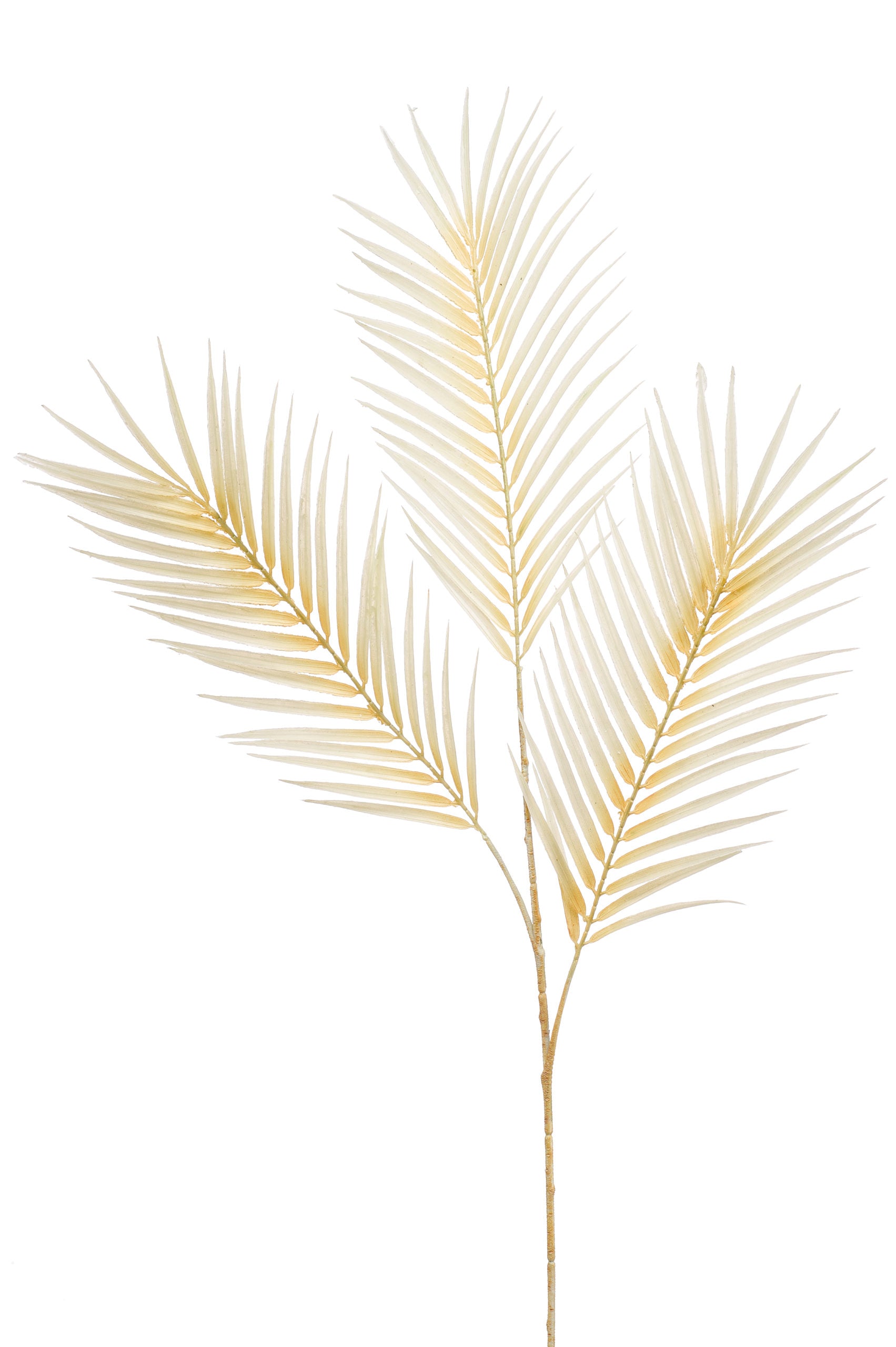 Ramo Foglie Palma Crema 98 Cm