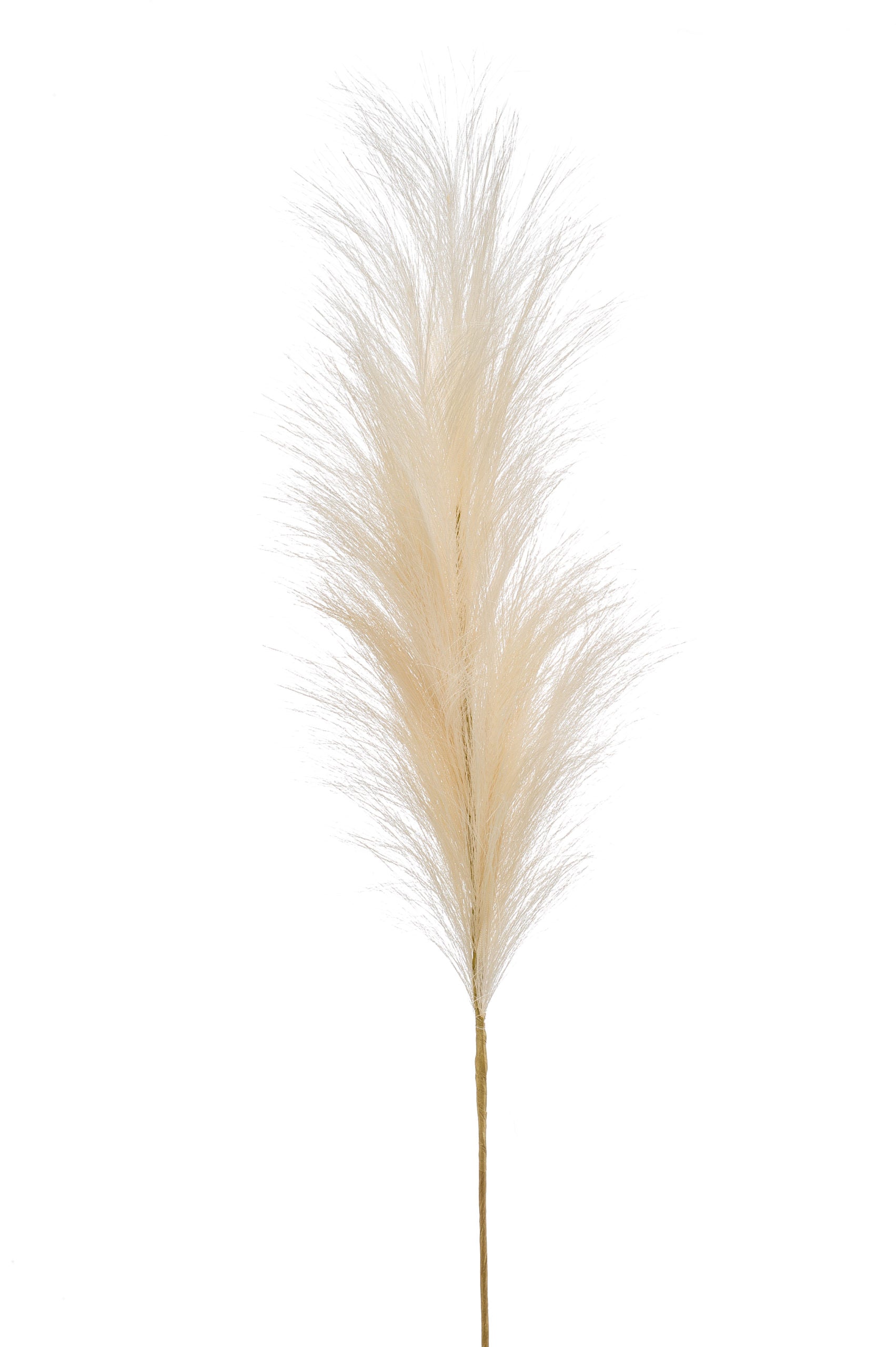 Pampas Fiore Finto Crema 115 Cm