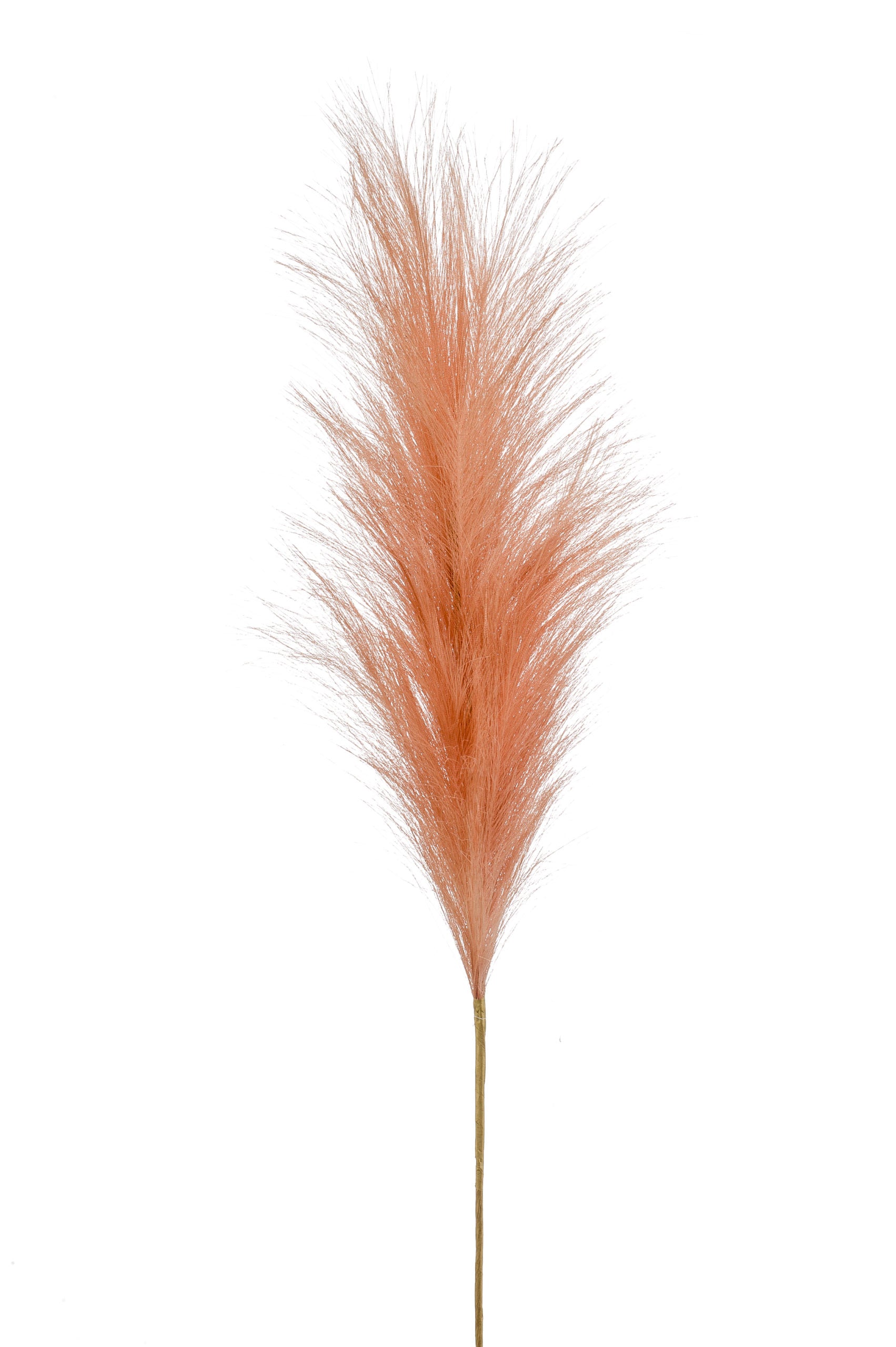 Pampas Fiore Finto Pesca 115 Cm