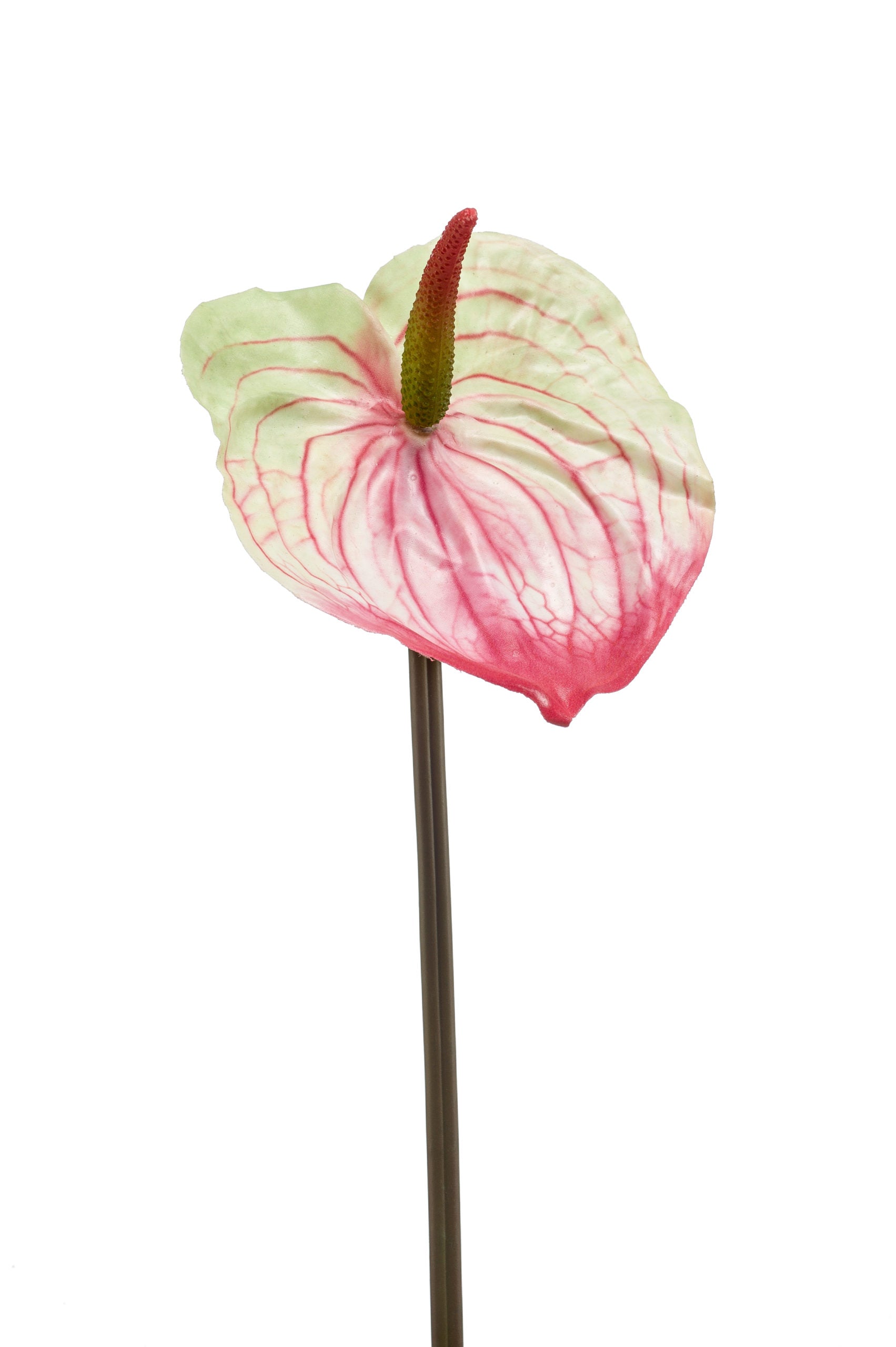 Anturio Fiore Finto Rosa Verde 65 Cm