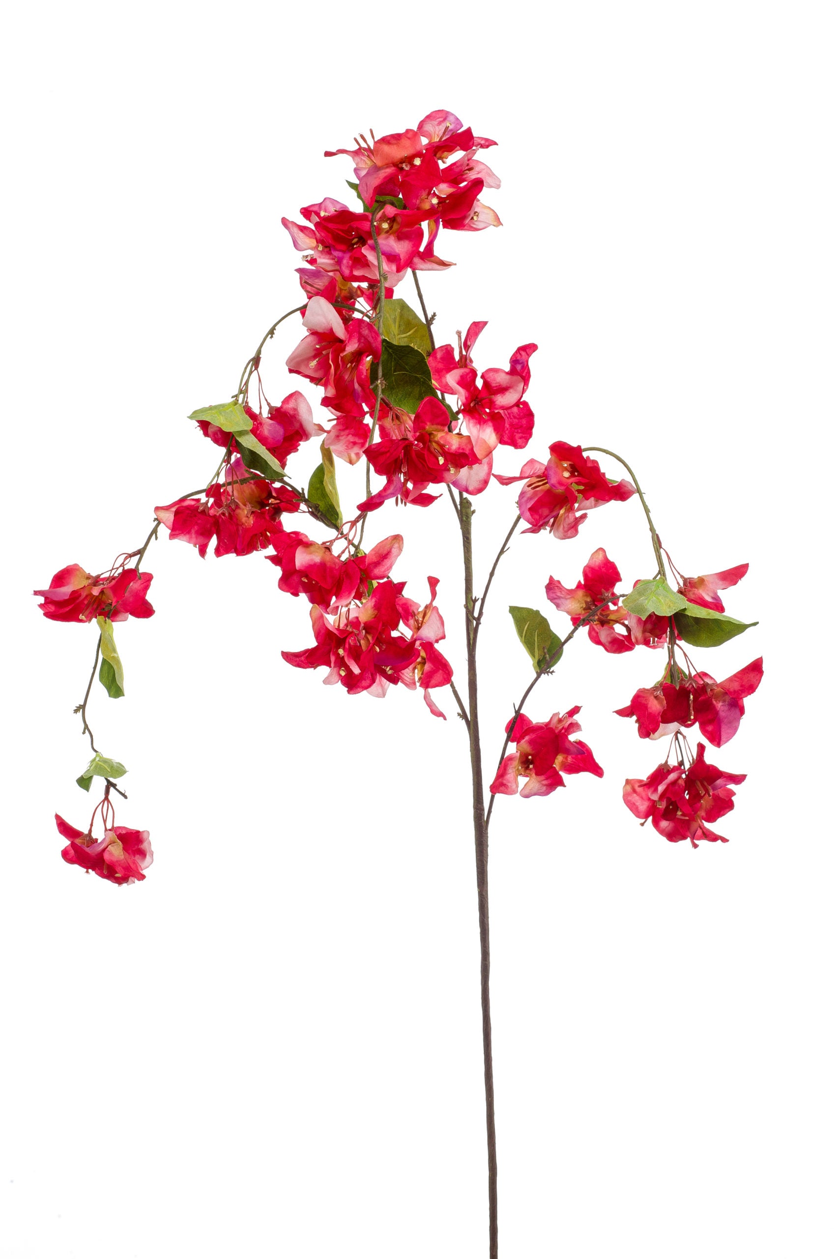 Bougainvillea Fiore Finto Rosso 120 Cm