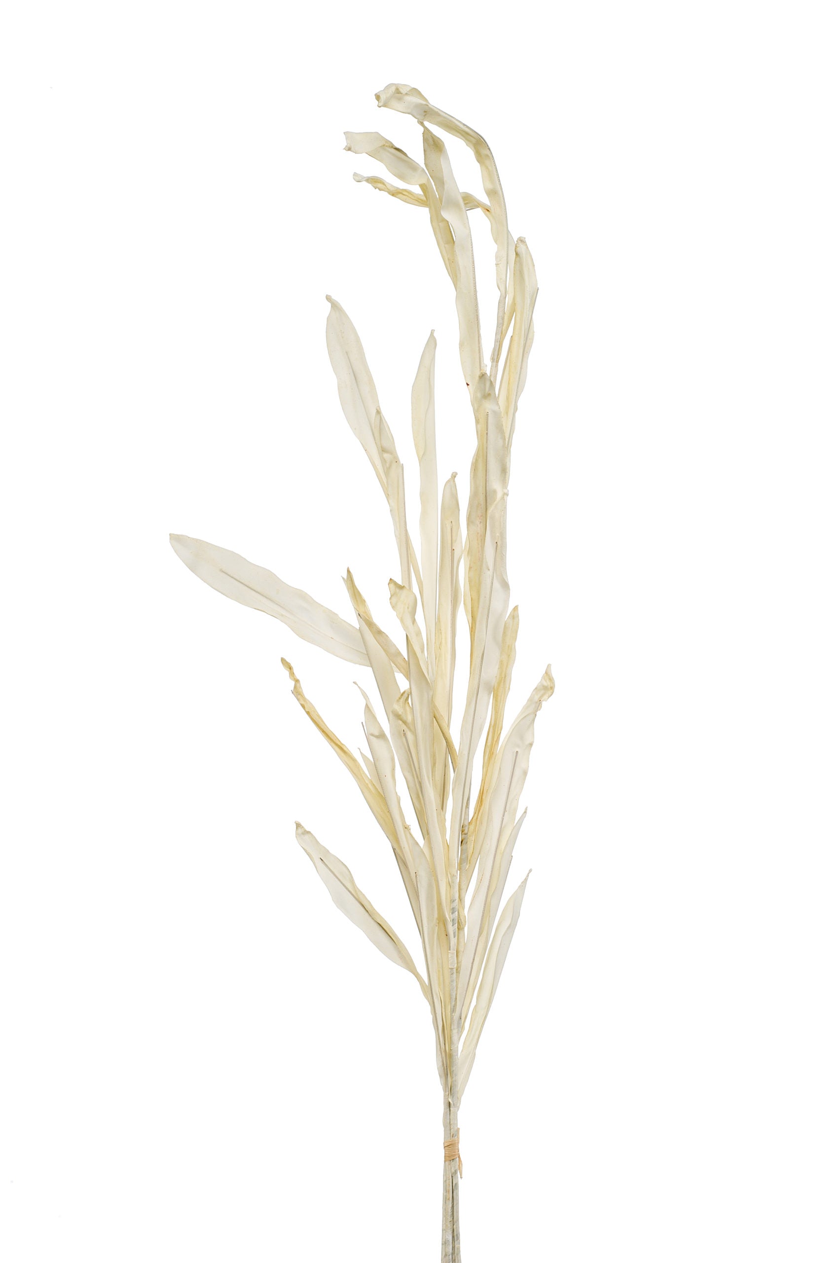 Ramo Foglie Finte Crema 120 Cm