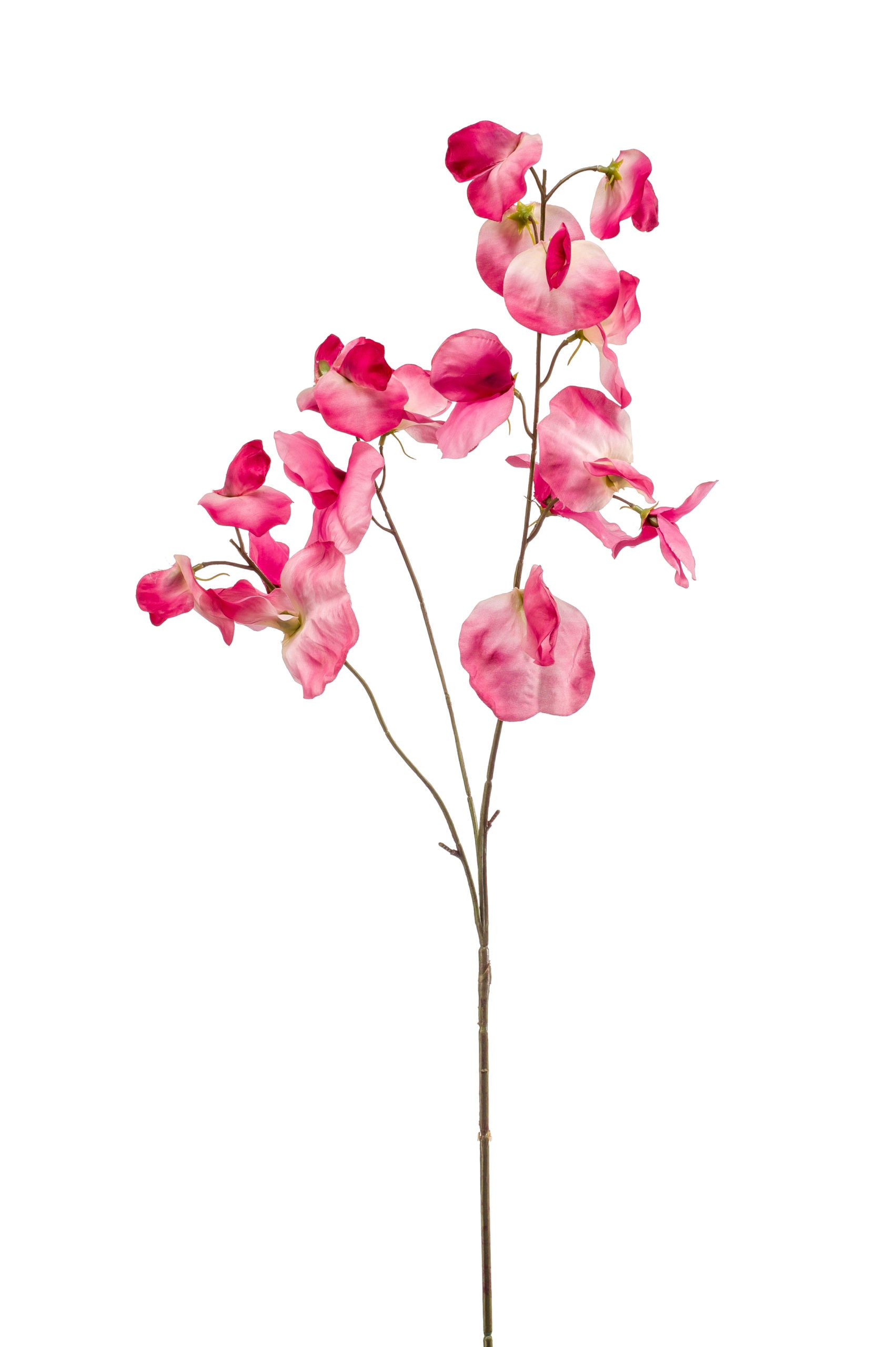 Pisello Odoroso Fiore Finto Rosa 75 Cm