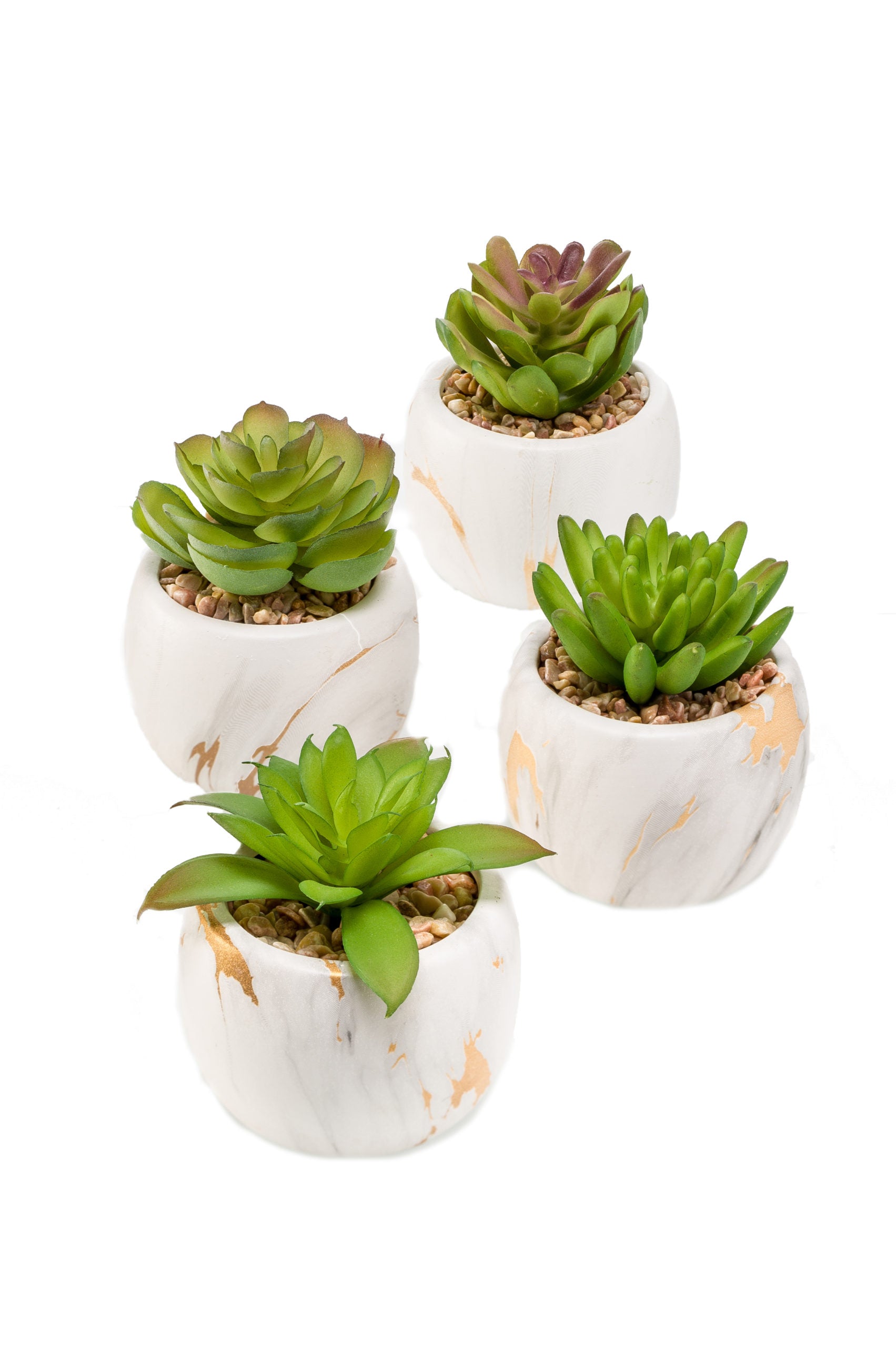 Pinta Grassa In Vasetto Marmo 10 Cm 1 Pezzo