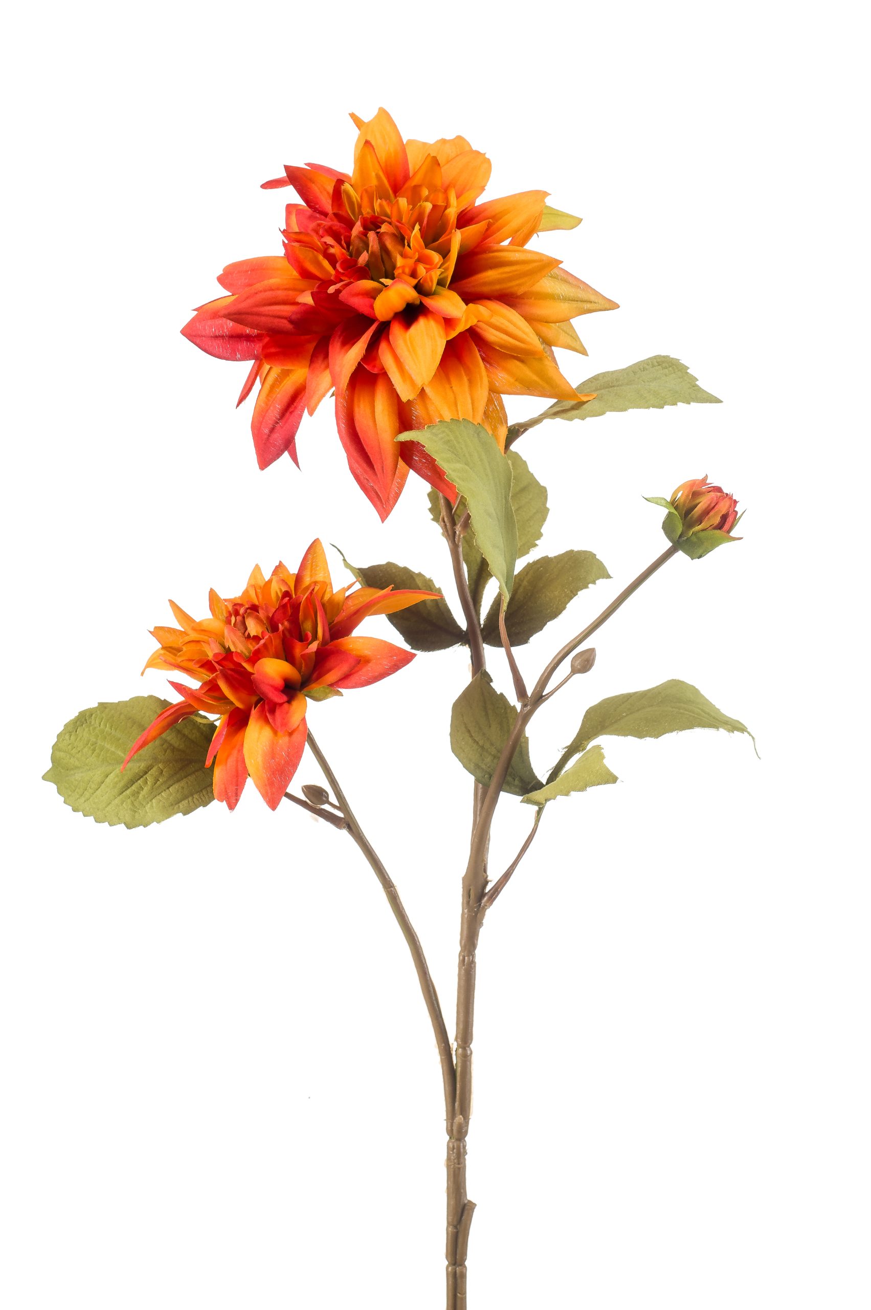 Dalia Arancione 67 Cm