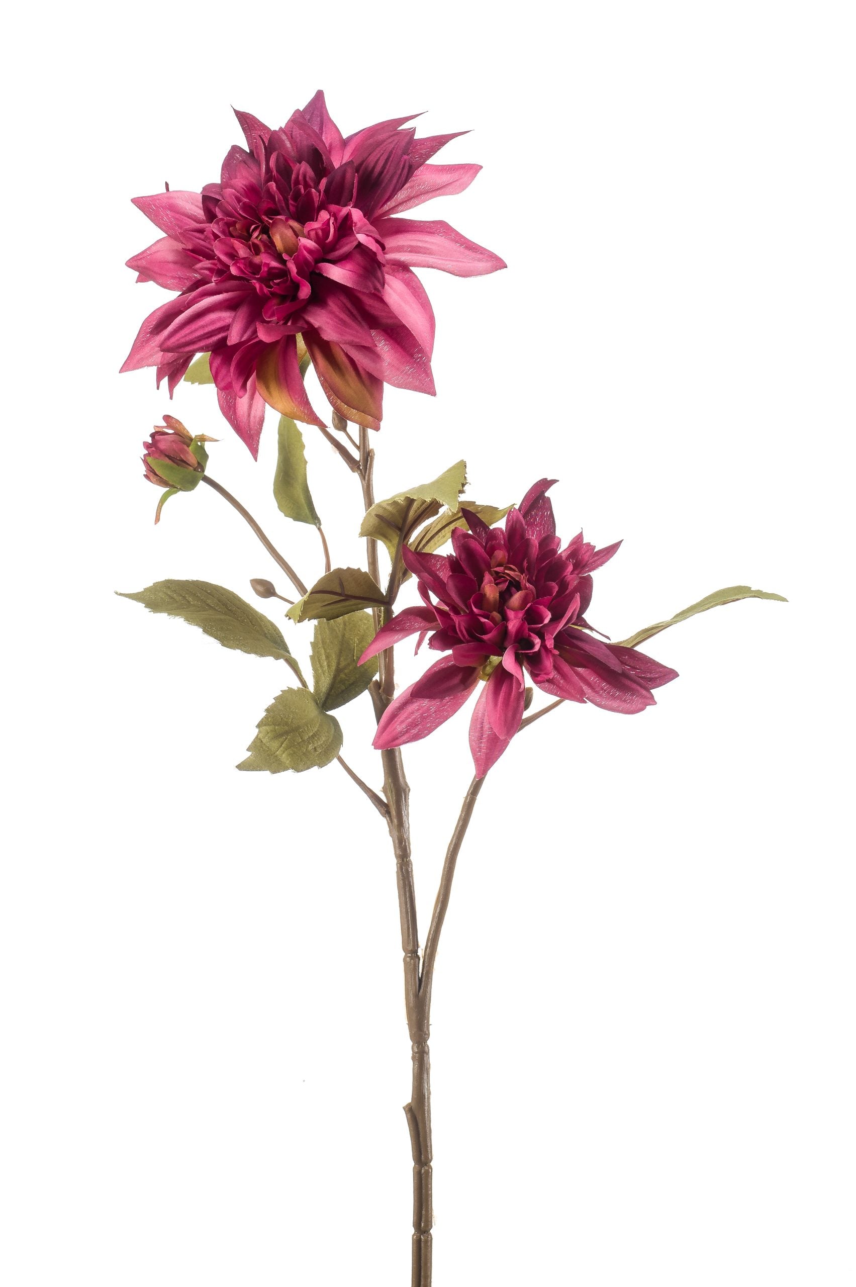 Dalia Color Malva 67 Cm