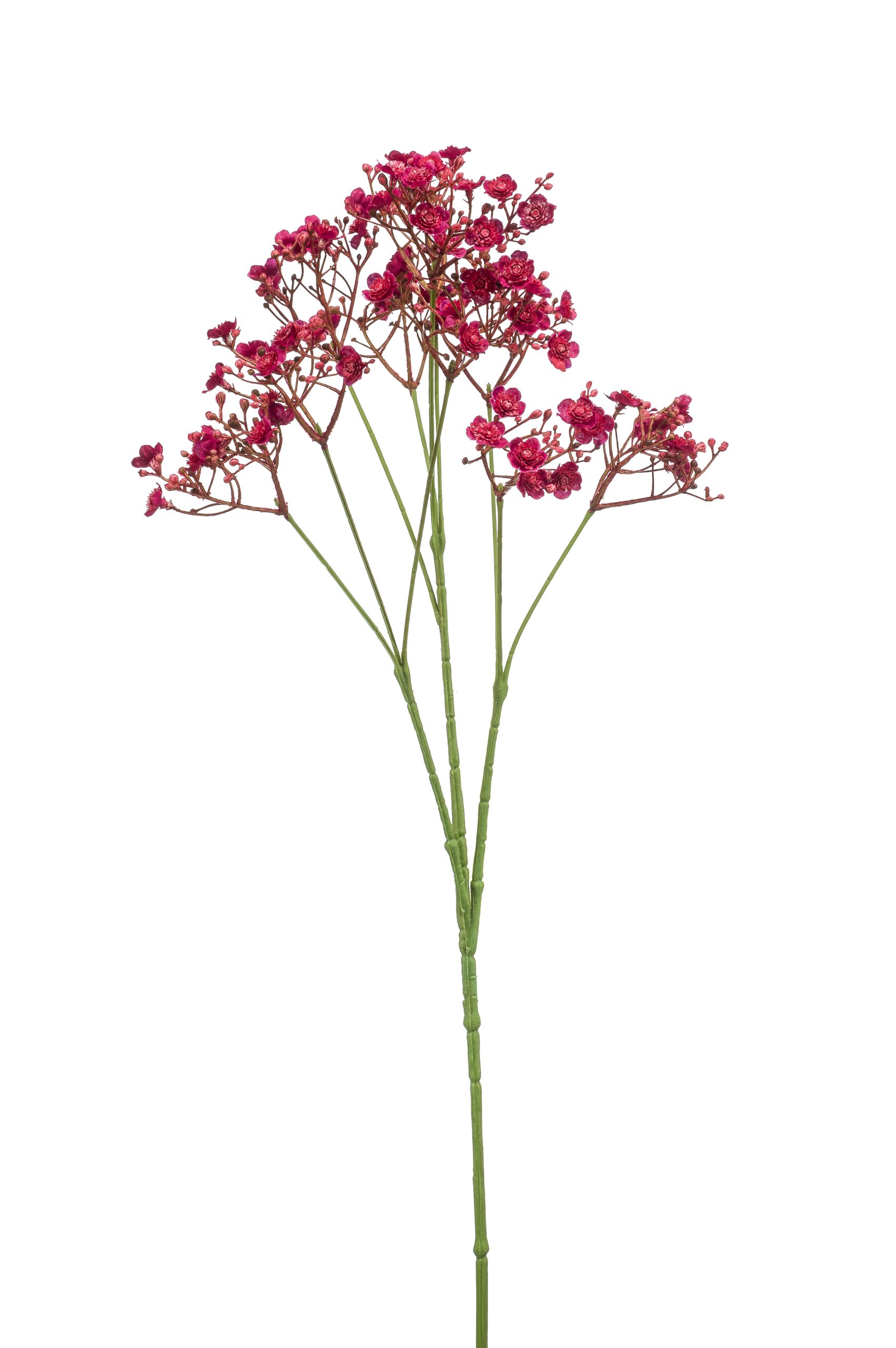 Ramo Gipsofila Fucsia 68 Cm