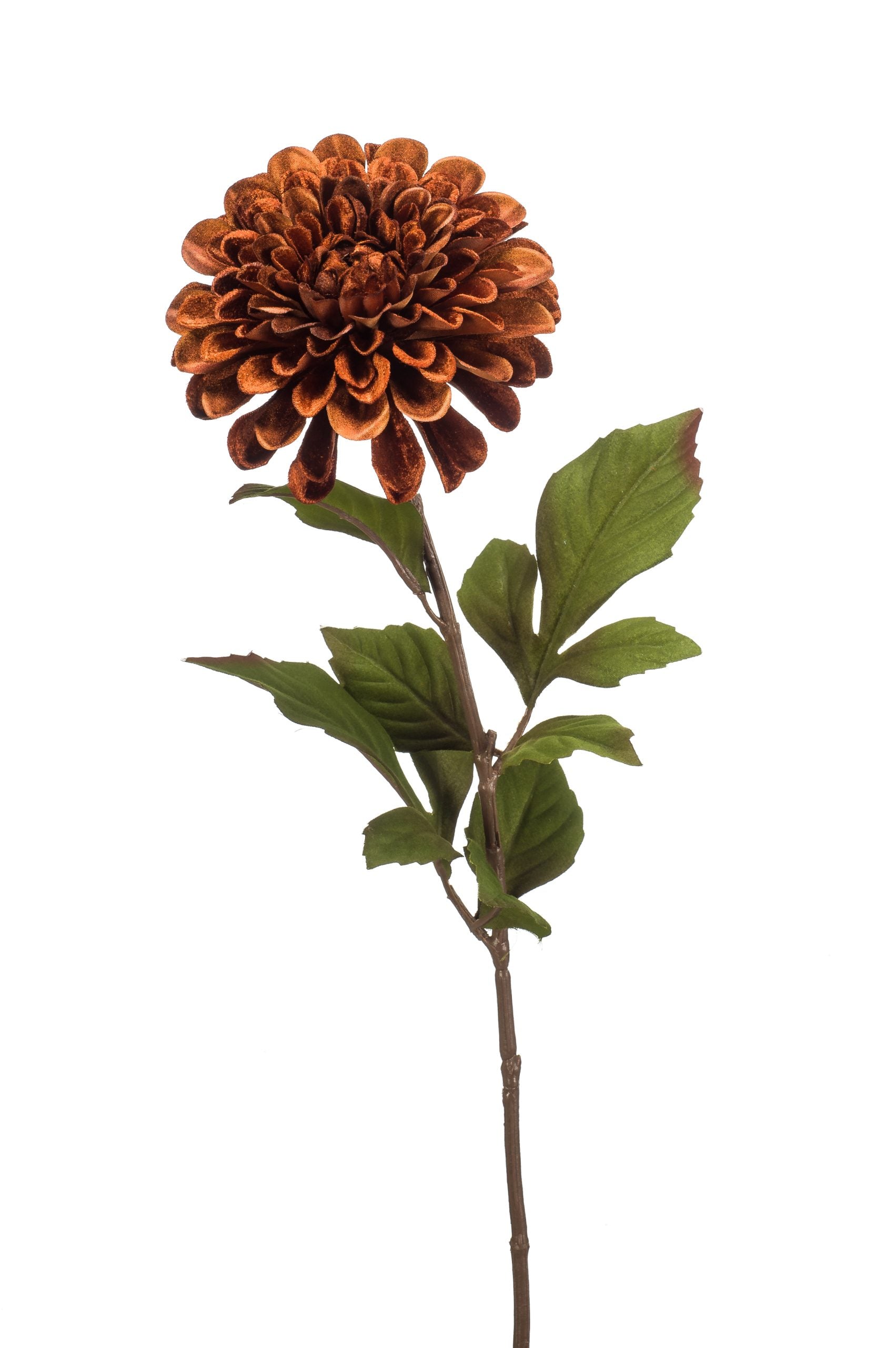 Dalia Glamour Marrone 57 cm fiore artificiale decorativo con stelo e foglie - DeMatteis.it