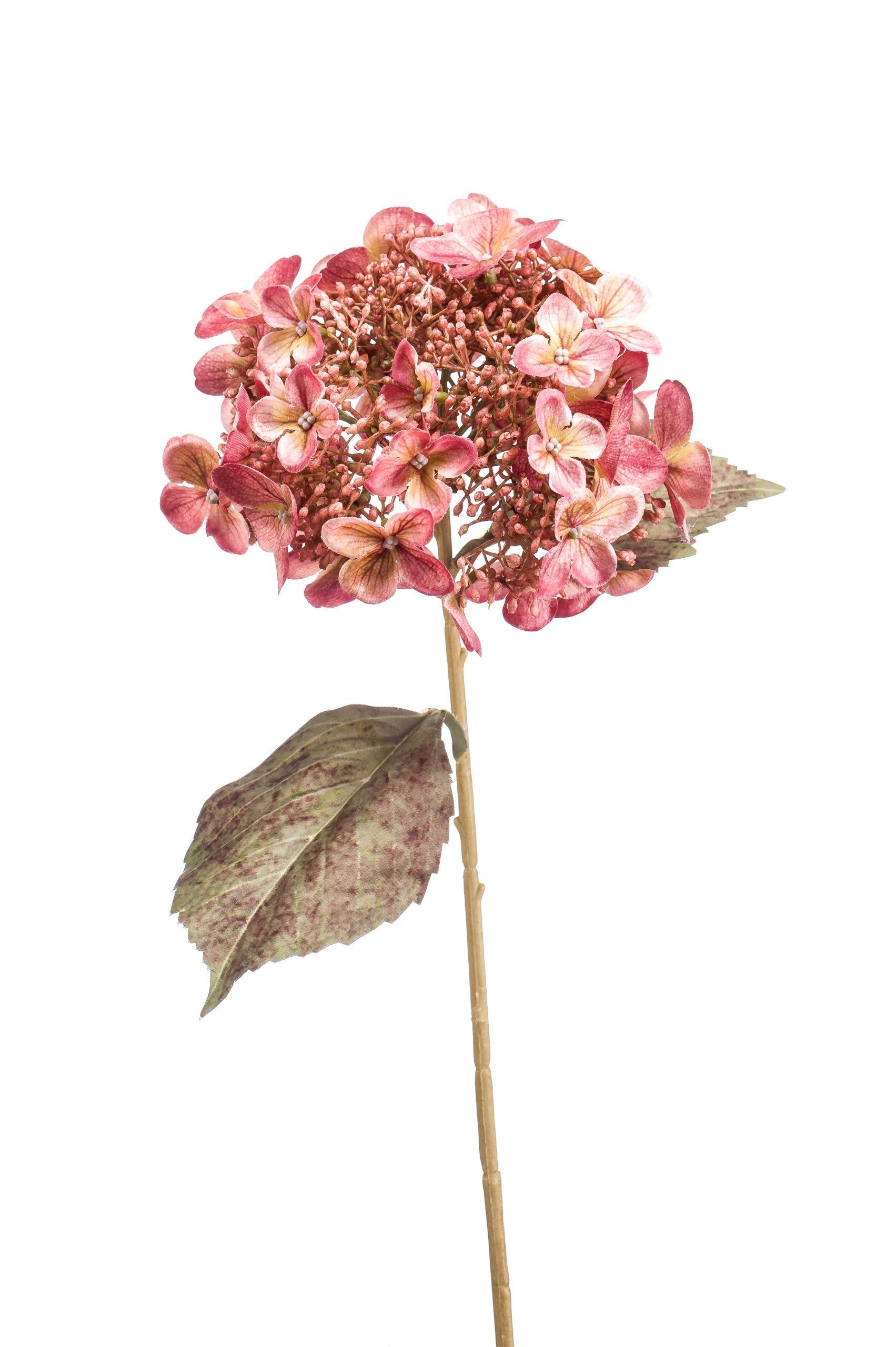 Ortensia Oro Rosa 52 Cm