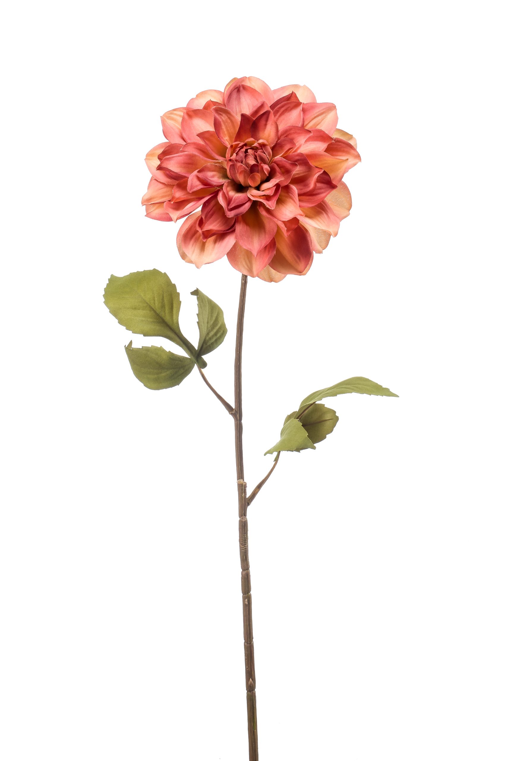 Dalia Color Malva 70 Cm