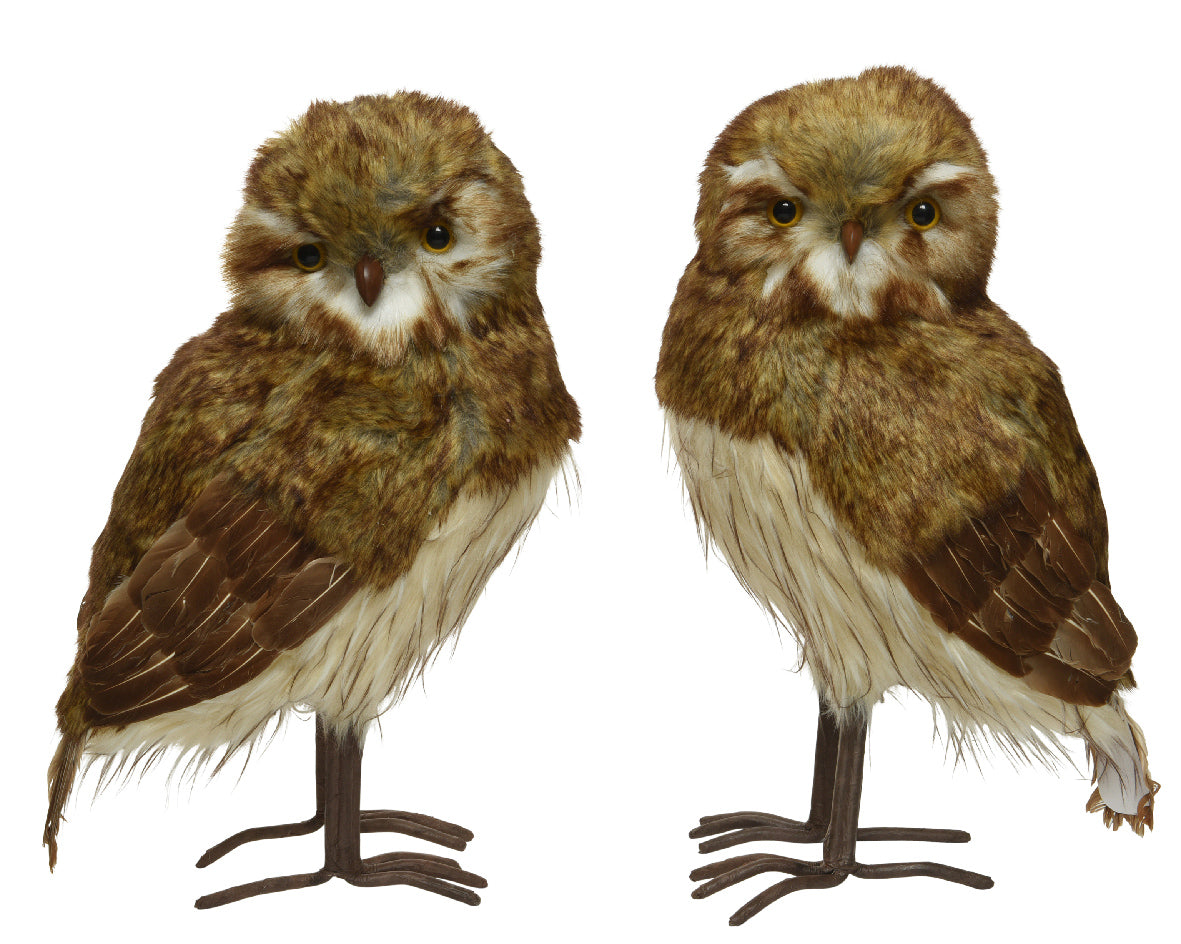 Civetta decorativa ornamentale dimensioni 22 x 29 x 48 cm per arredamento e collezione - DeMatteis.it