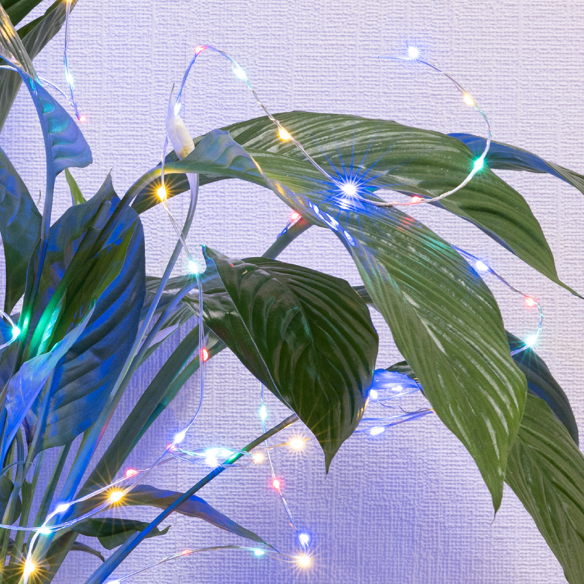 Microled Rigidi Con Supporto 60 Led Multicolor 80 cm per decorazioni natalizie luminose - DeMatteis.it