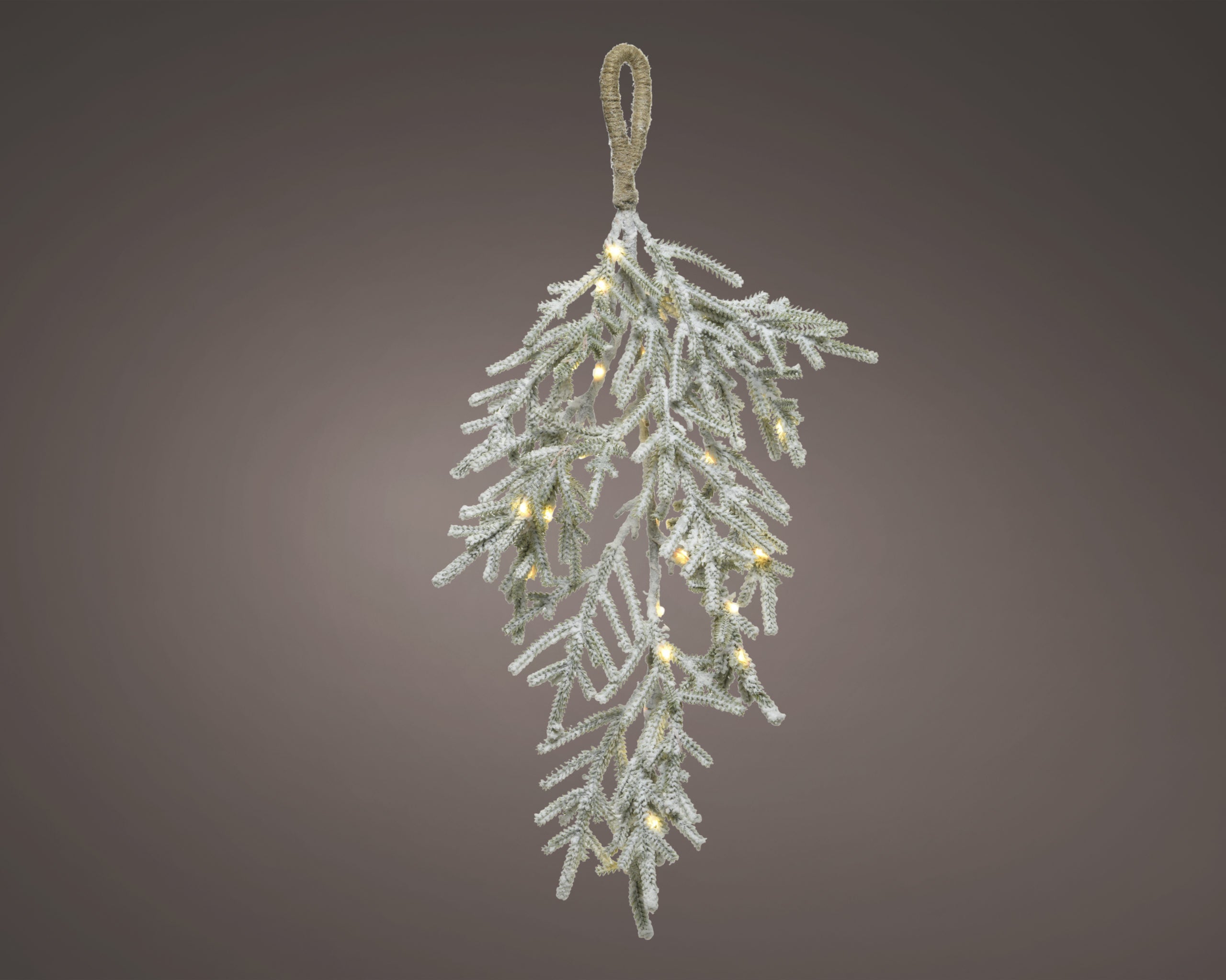 Ramo Luminoso Natale 50 cm con luci LED per decorazioni natalizie da appendere - DeMatteis.it