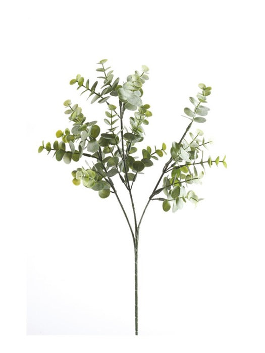 Ramo Eucalipto 65 Cm Verde