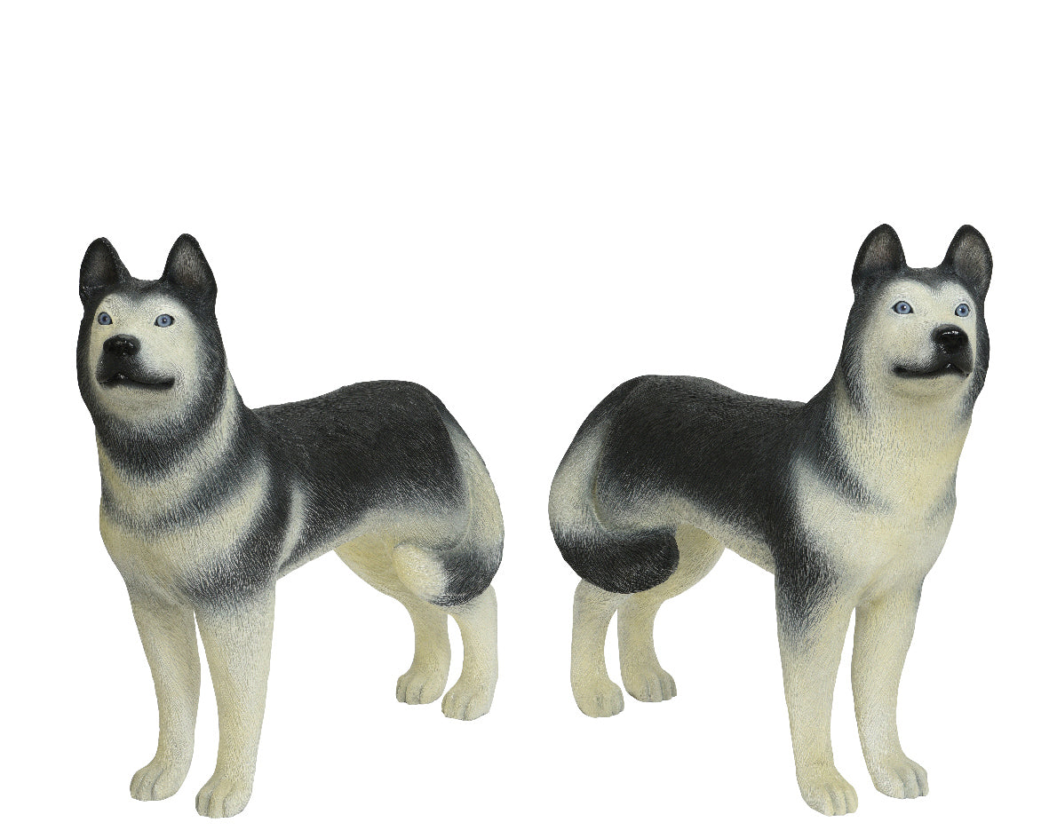 Husky Resina 95X34X90 cm statue decorative in poliresinа dimensioni 95 x 34 x 90 cm - DeMatteis.it