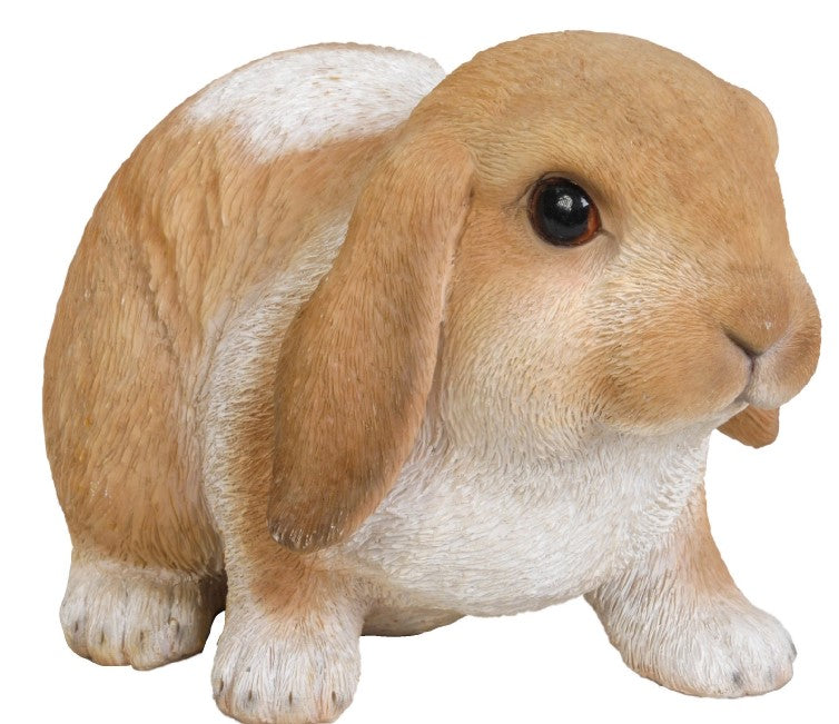 Coniglio Lunghe Orecchie 1 Pz