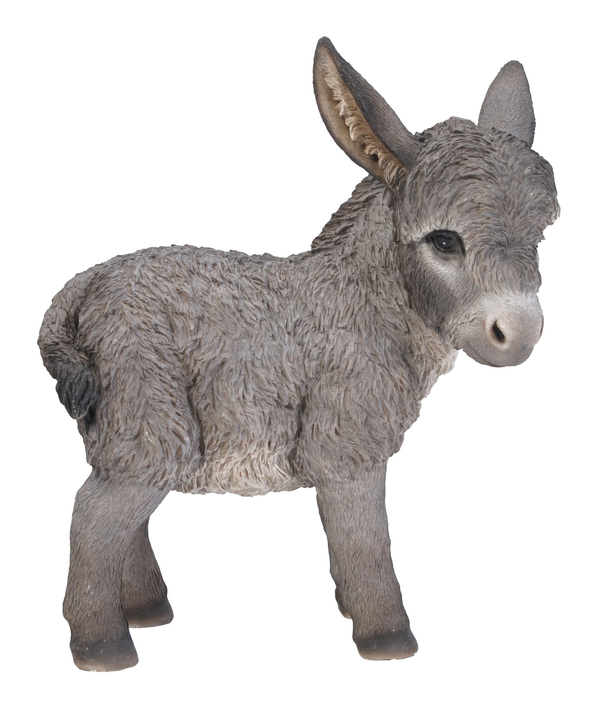 Asinello 29X14X25 Cm