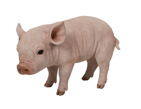 Maialino In Piedi 23X14X38 Cm Resina