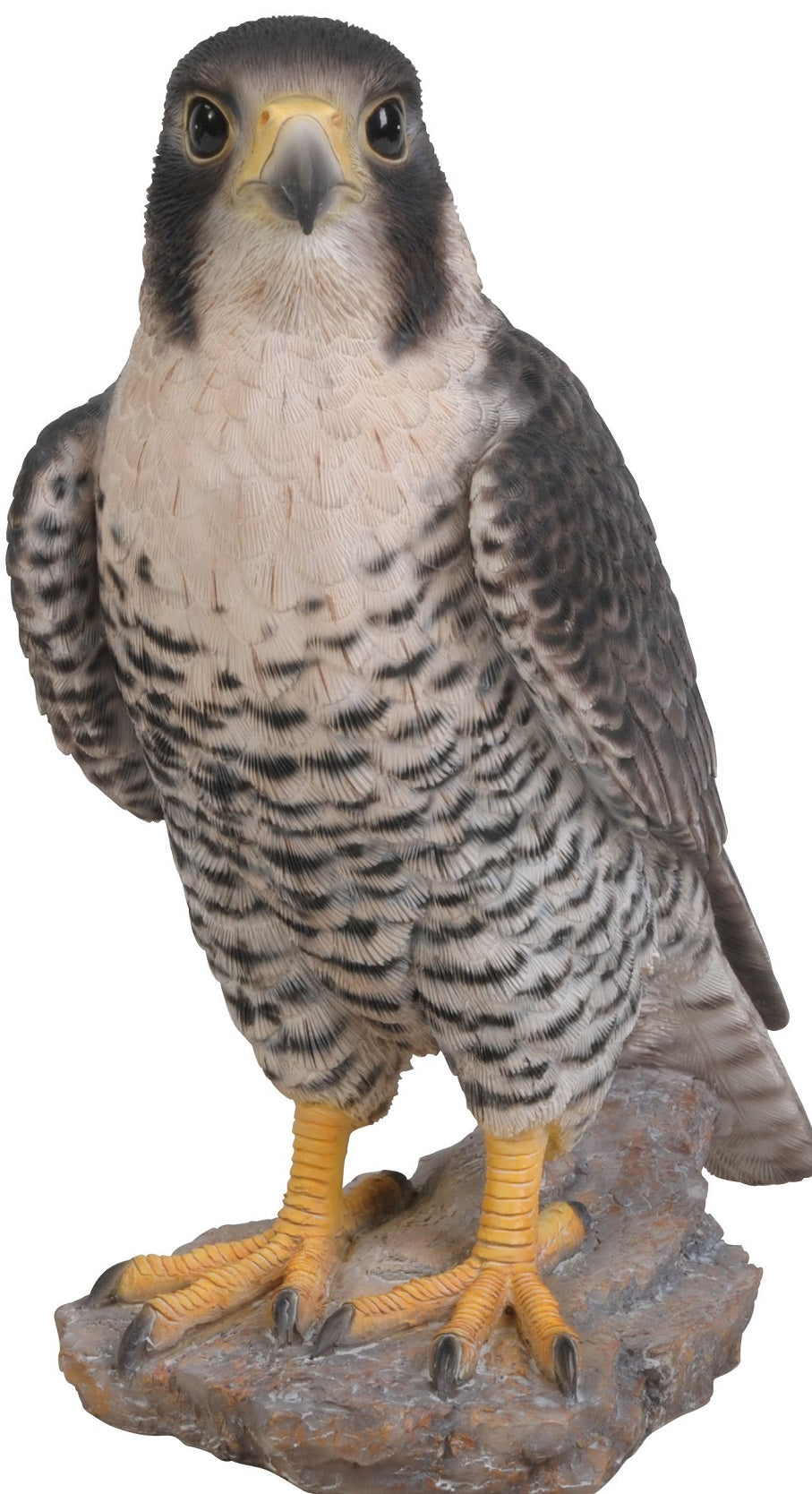 Falco Pellegrino 26X12X25 Cm