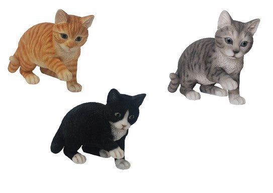 Gattino Che Gioca 23X35X17 Cm