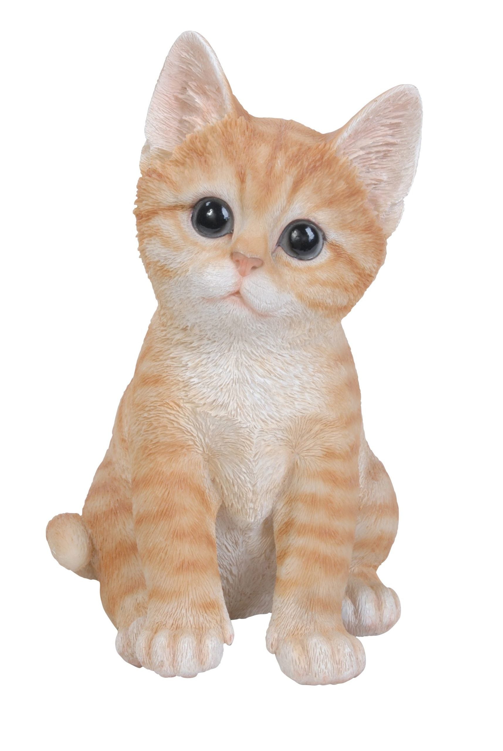 Gattino 20X12X15 Cm 1 Pz