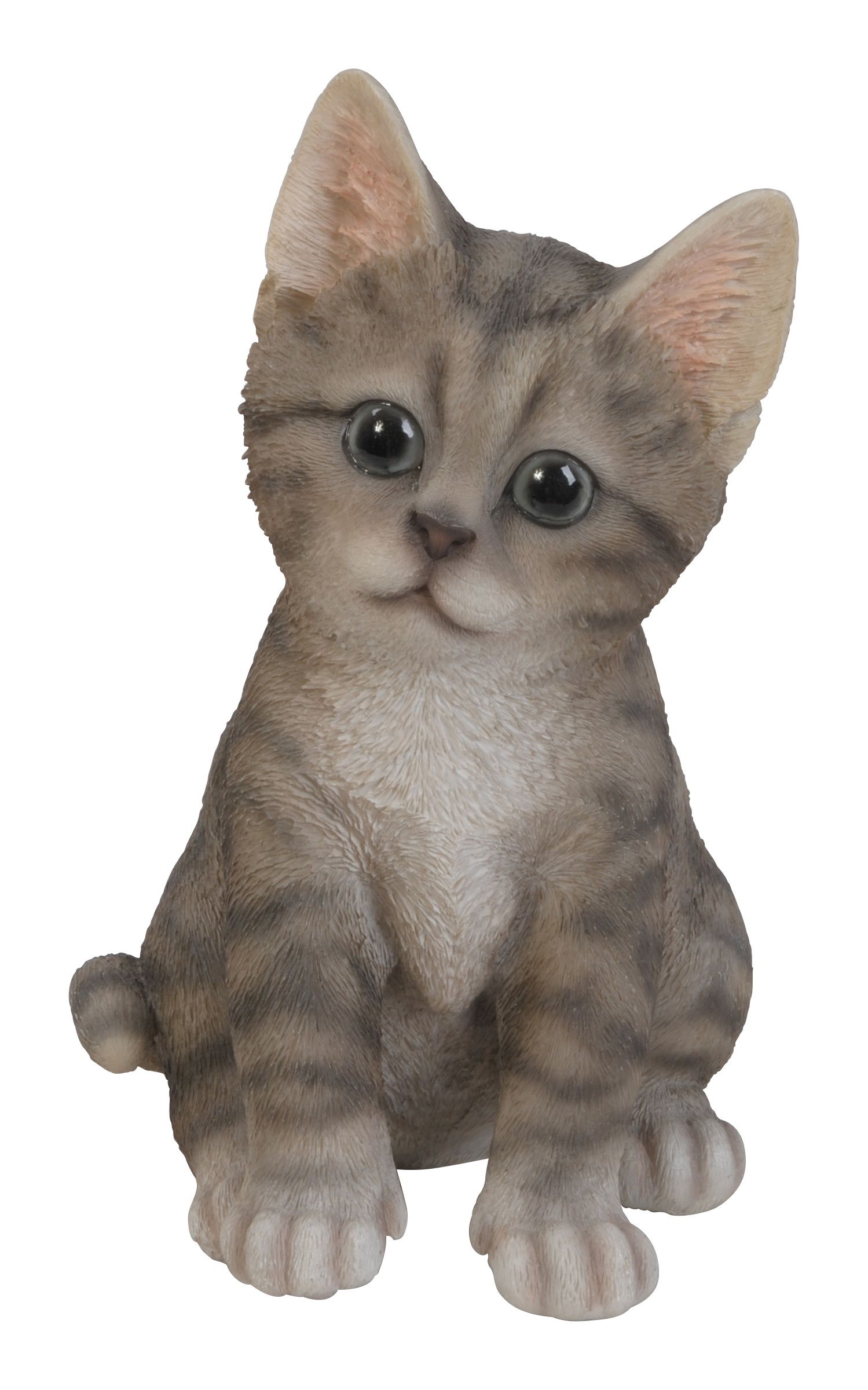 Gattino 20X12X15 Cm 1 Pz