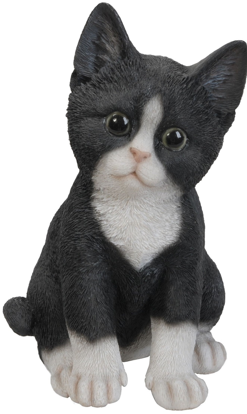 Gattino 20X12X15 Cm 1 Pz