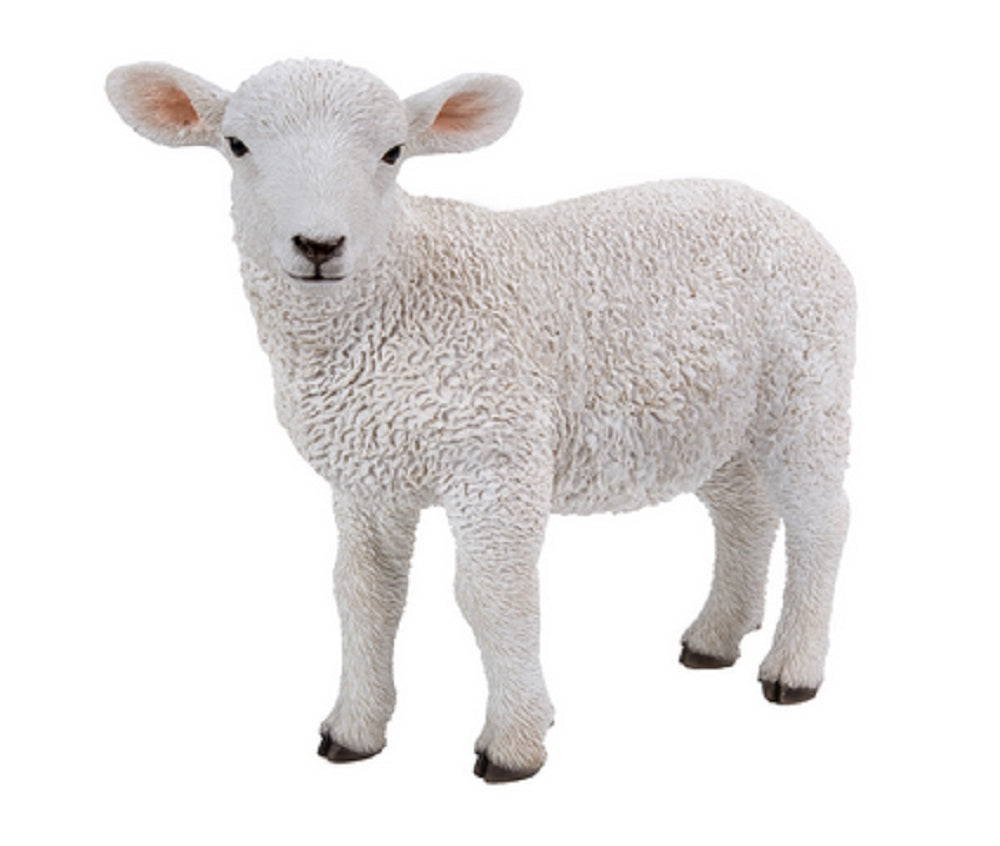 Agnello In Piedi 23X28X11 Cm
