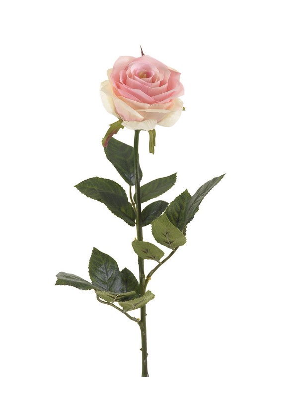 Rosa Simone Ramo 73 Cm Rosa