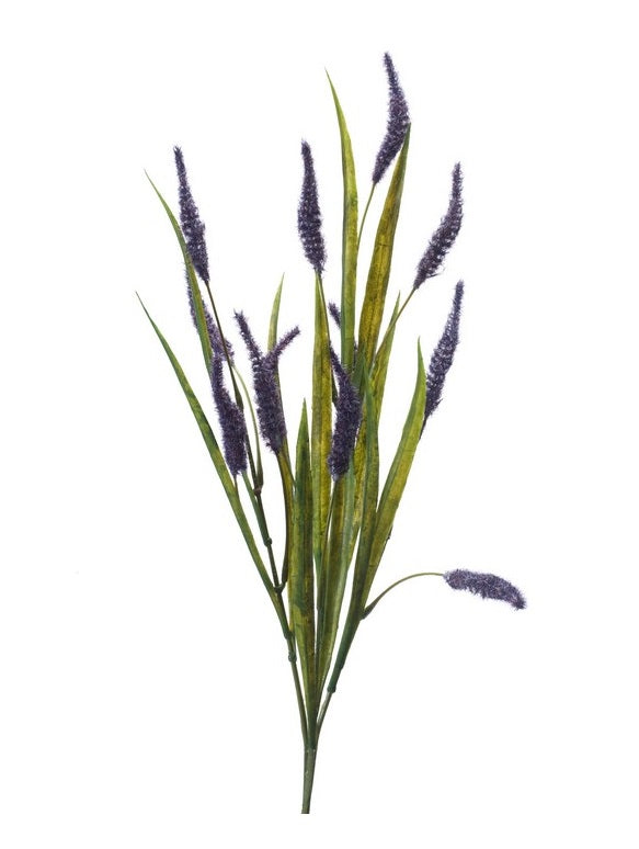 Pennisetum Spray 70 Cm Blu