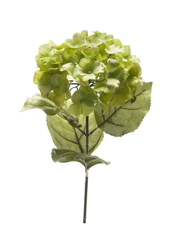 Ortensia Spray 65 Cm Verde