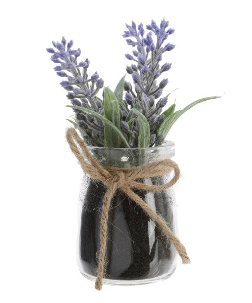 Pianta Lavanda In Vaso Vetro 15 Cm