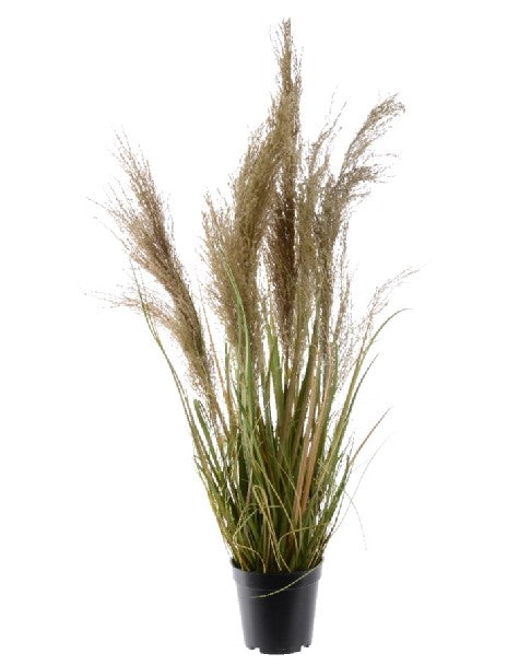 Pianta Grassa Con Piume Naturali 65 Cm