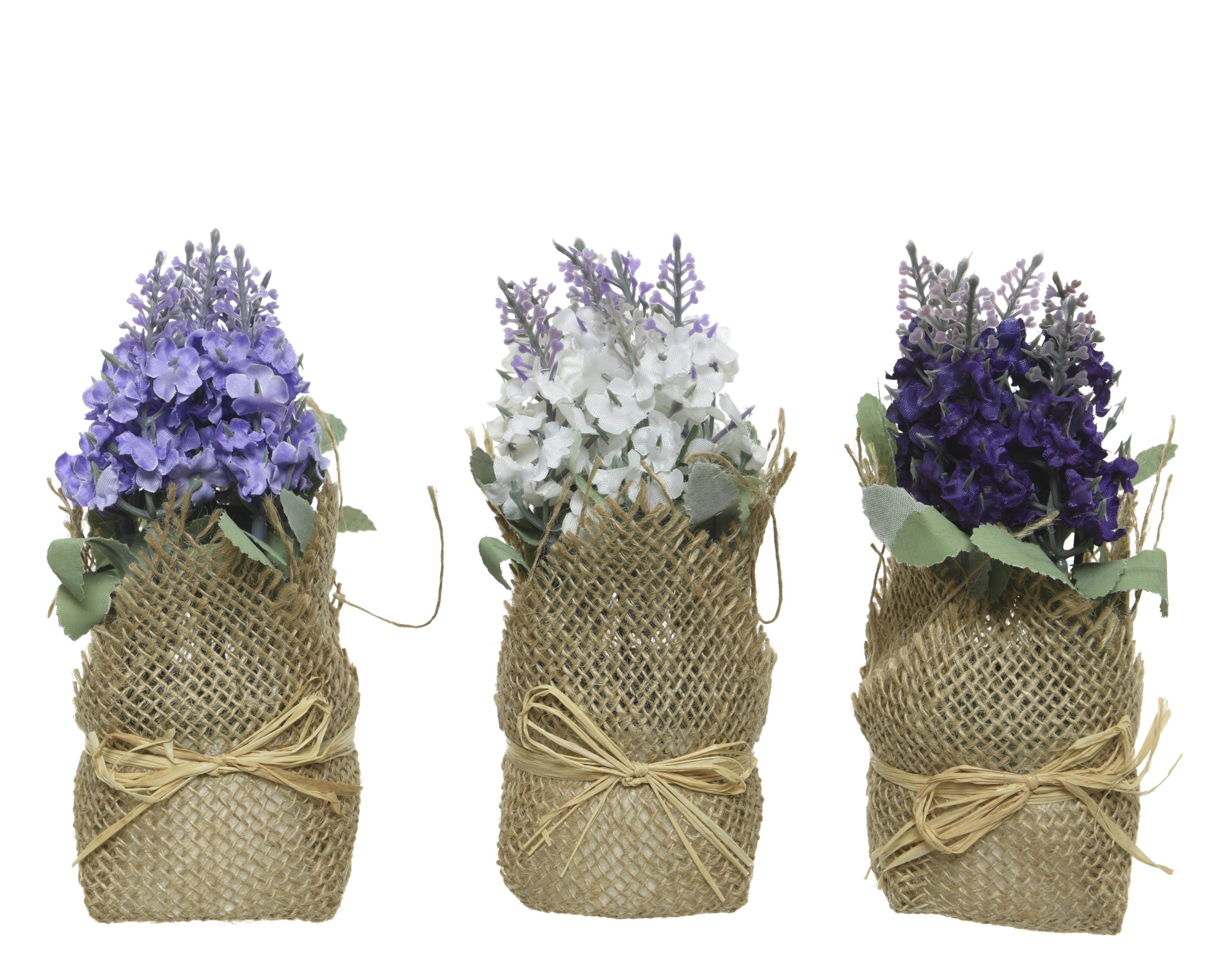 Pianta Lavanda In Sacco Juta 17 Cm 1 Pezzo