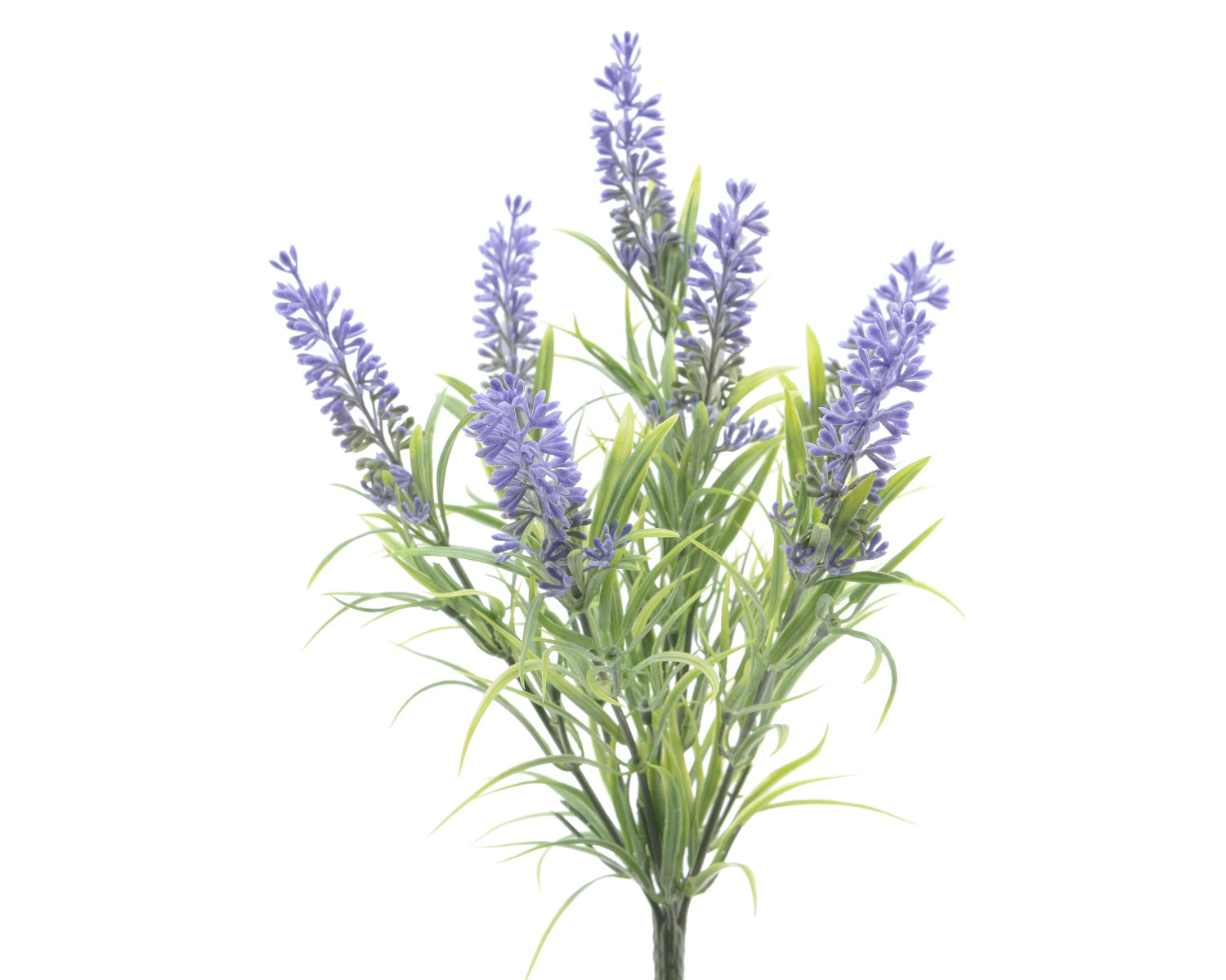 Mazzo Lavanda 13X13X34 Cm